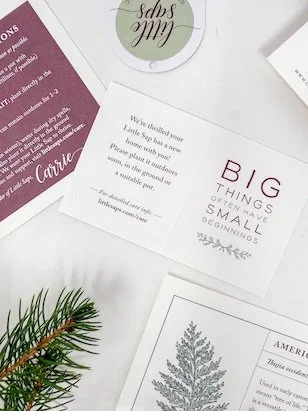 Little Saps gift tag Big Things often have Small Beginnings