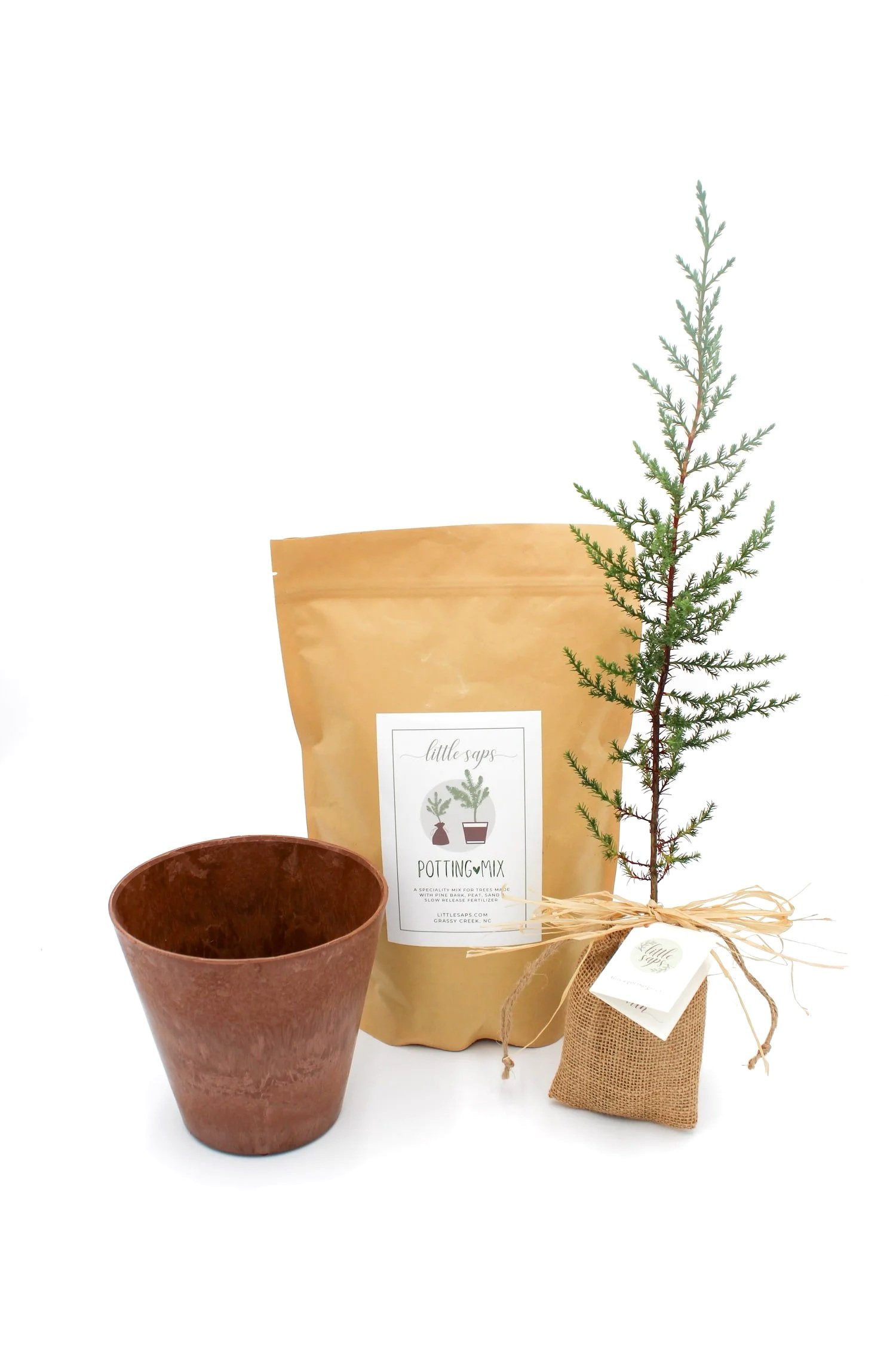 Small Sapling & Planting Kit (Terracotta Pot)