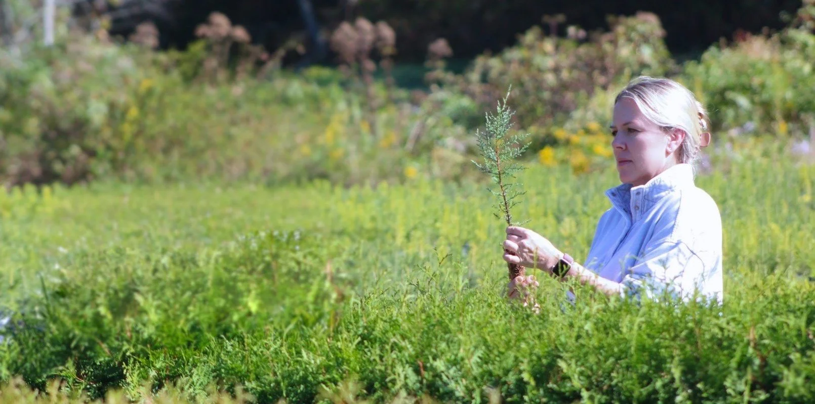 Carrie, founder of Little Saps, standing outside on her farm holding a young tree sapling, surrounded by tree saplings