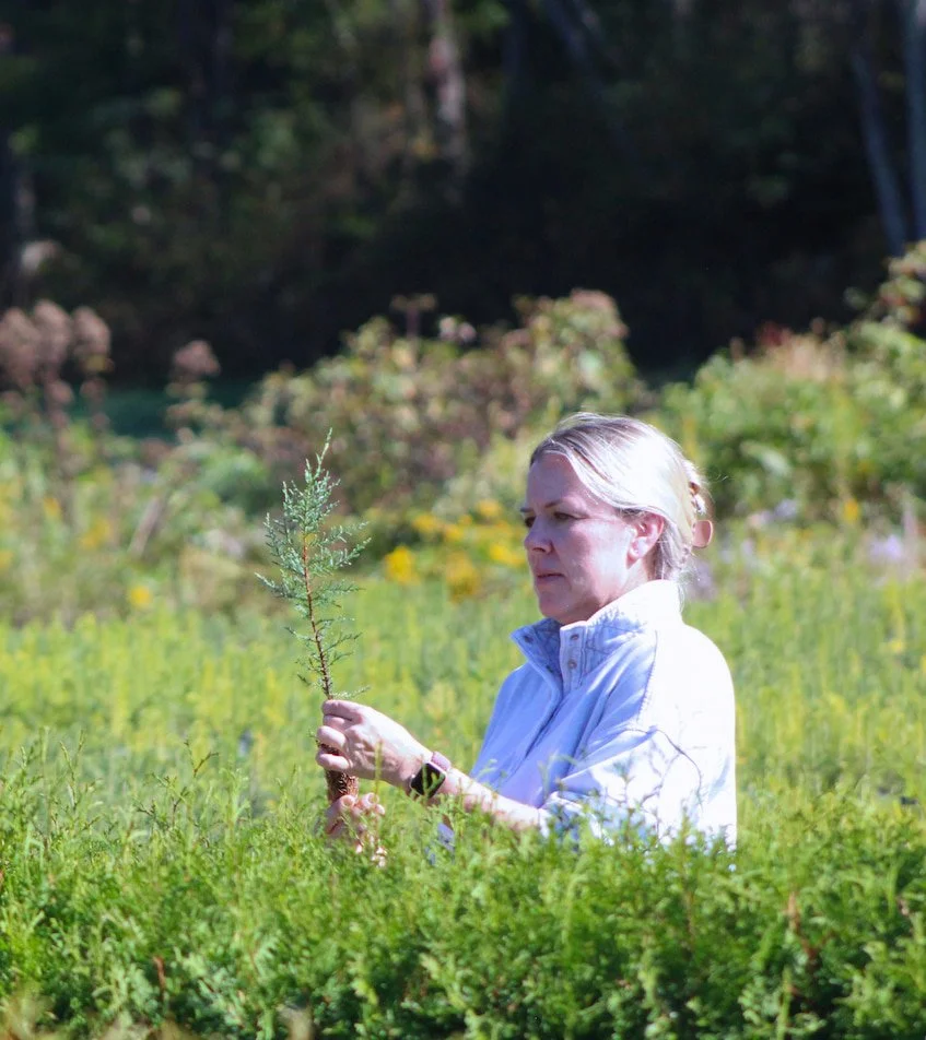Little Saps founder Carrie holding a locally grown evergreen sympathy gift tree in the greenhouse.