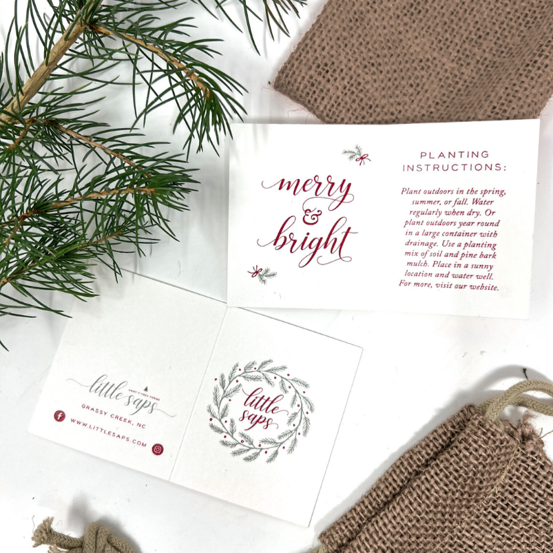 Close-up of the Little Saps ‘Merry & Bright’ gift tag on a table, showcasing its festive design and handwritten-style lettering