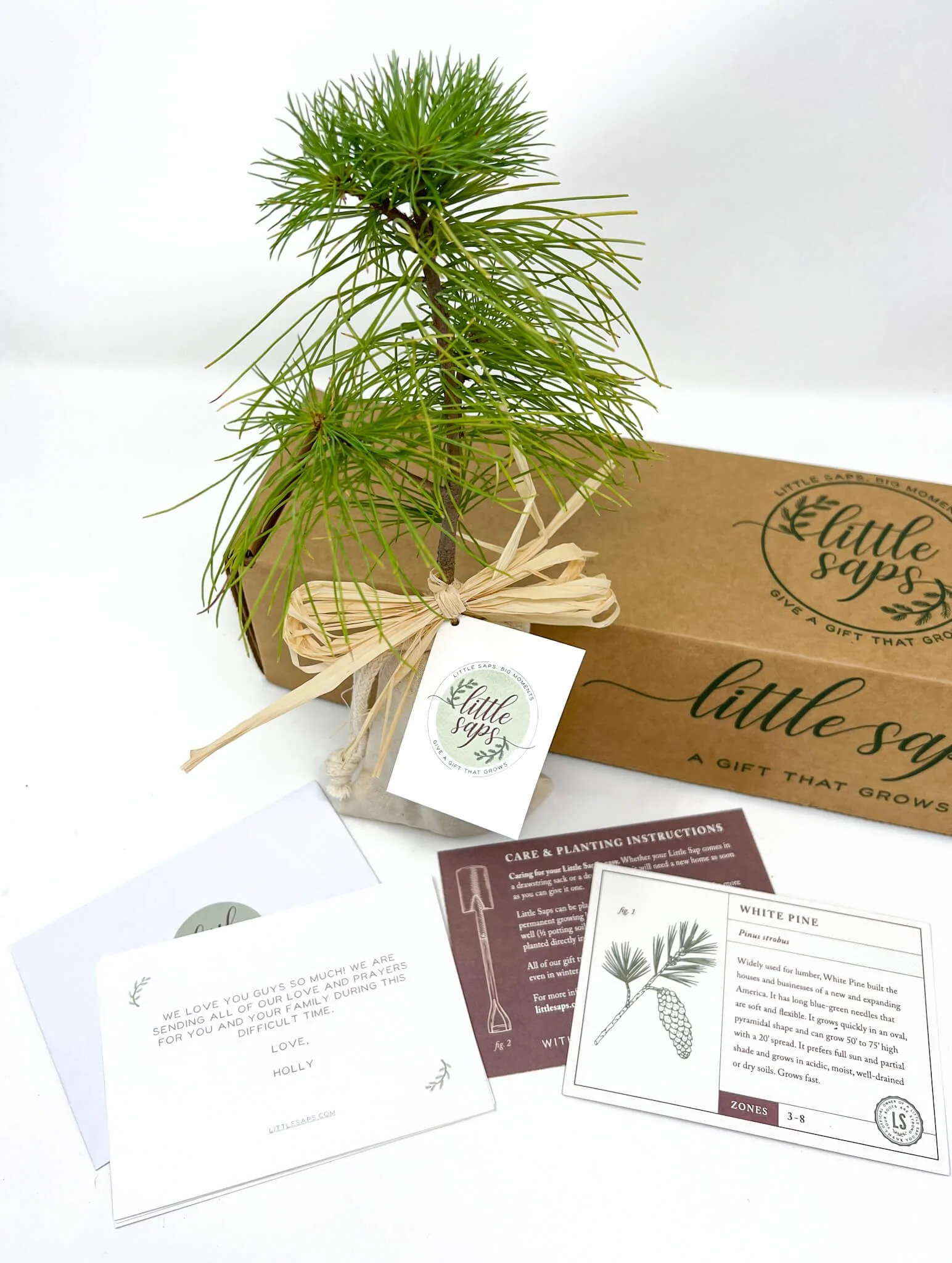 A Little Saps gift tree with all the thoughtful packaging.