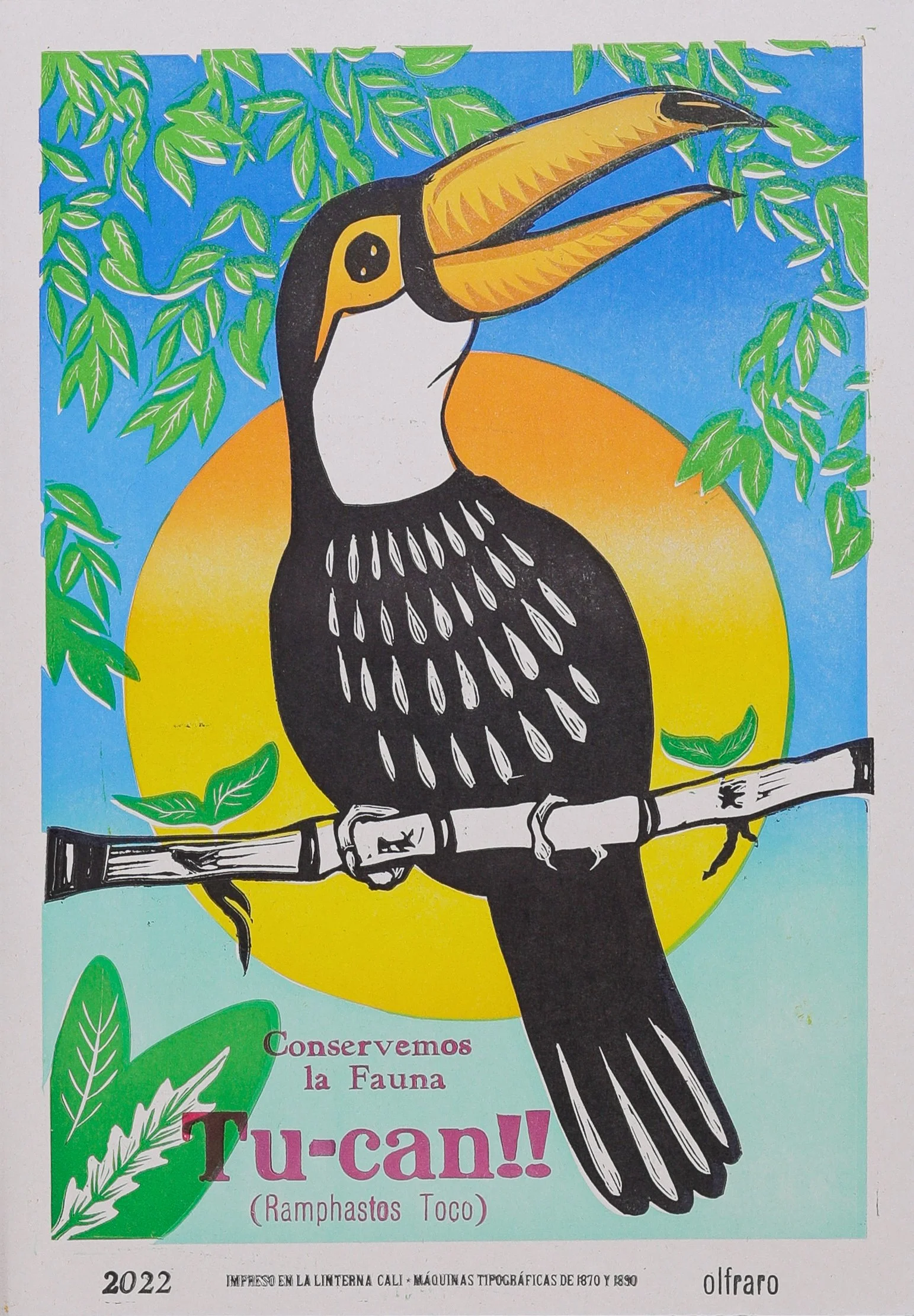 Tu-Can by Olfaro & La Linterna