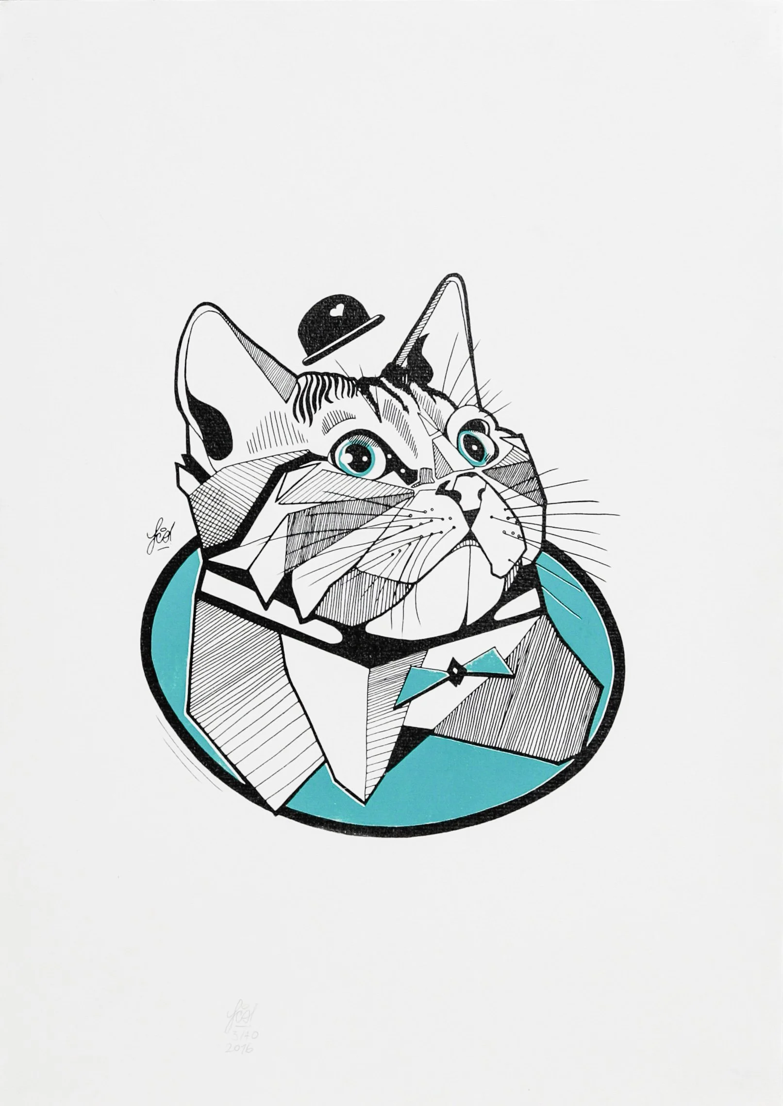 Gato by Franco de Colombia