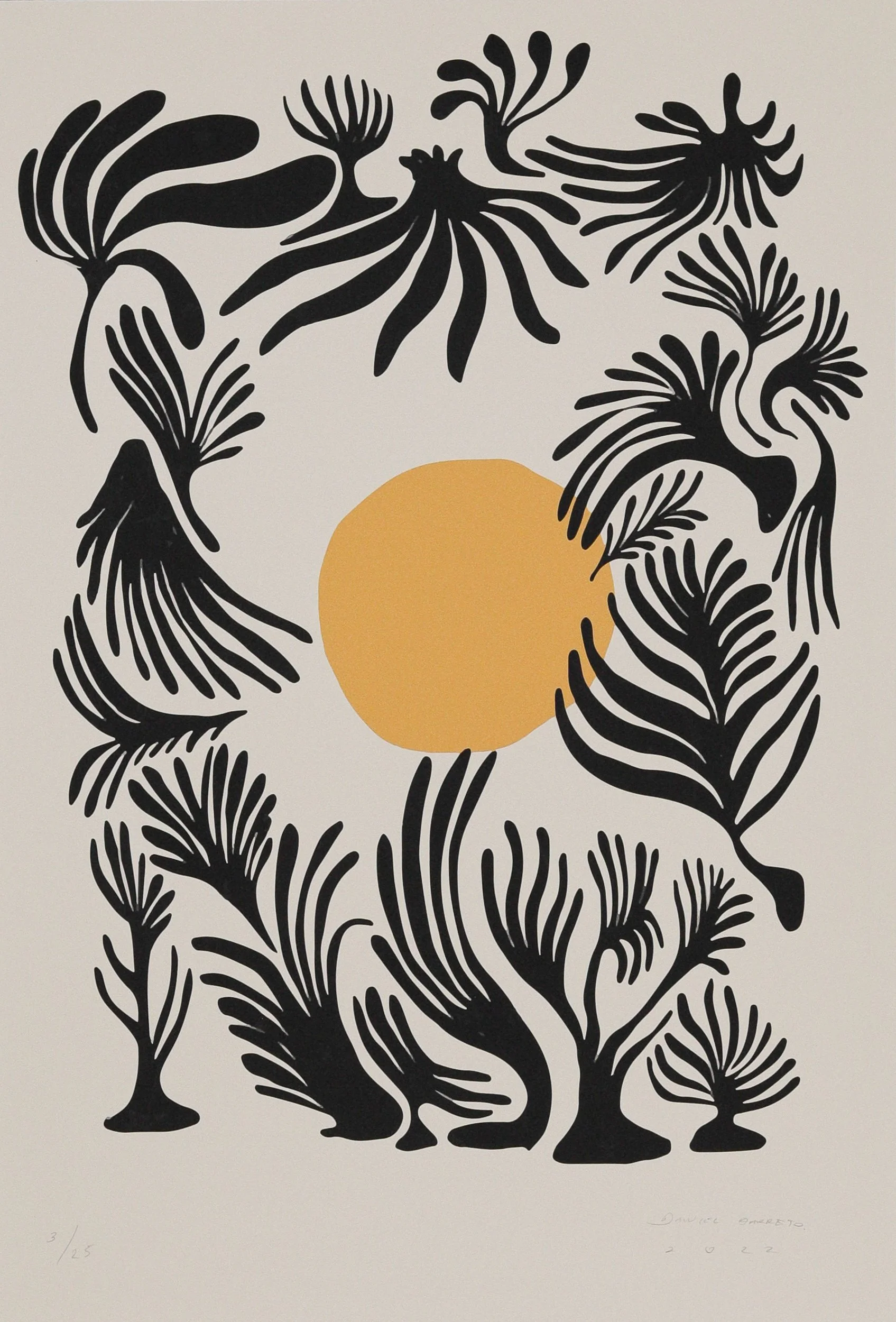 Carizalillo by Daniel Barreto