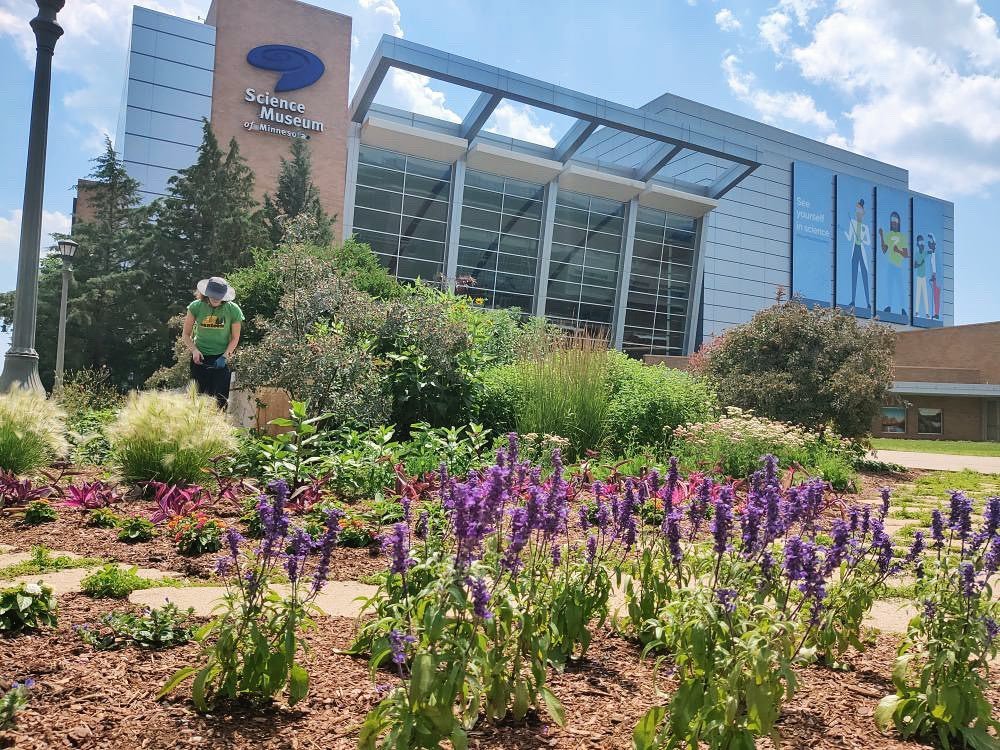 The upper landing at the Science Museum is buzzing with pollinators &amp; color! 🦋🌼✨

This year our annual planting has included salvias, purple hearts, lantanas, alyssums, bidens, &amp; more. Go check it out for yourself to see what else we have g