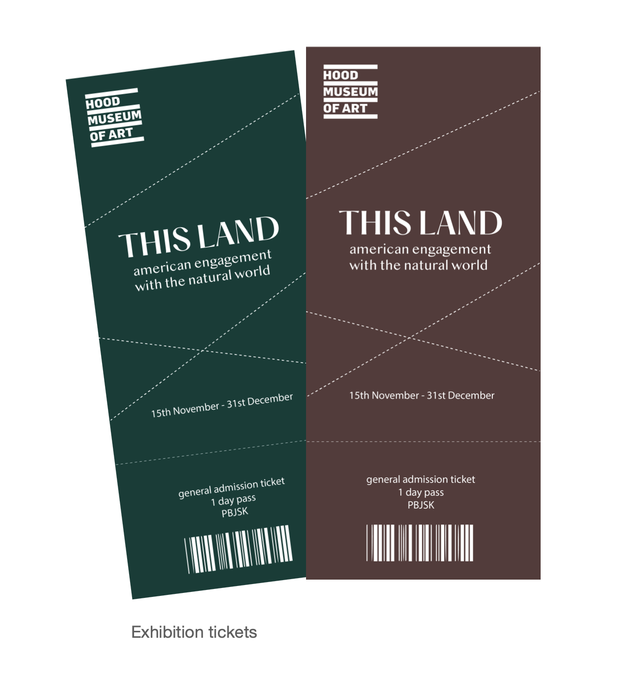 Screen Shot 2024-05-26 at 4.39.10 PM.png