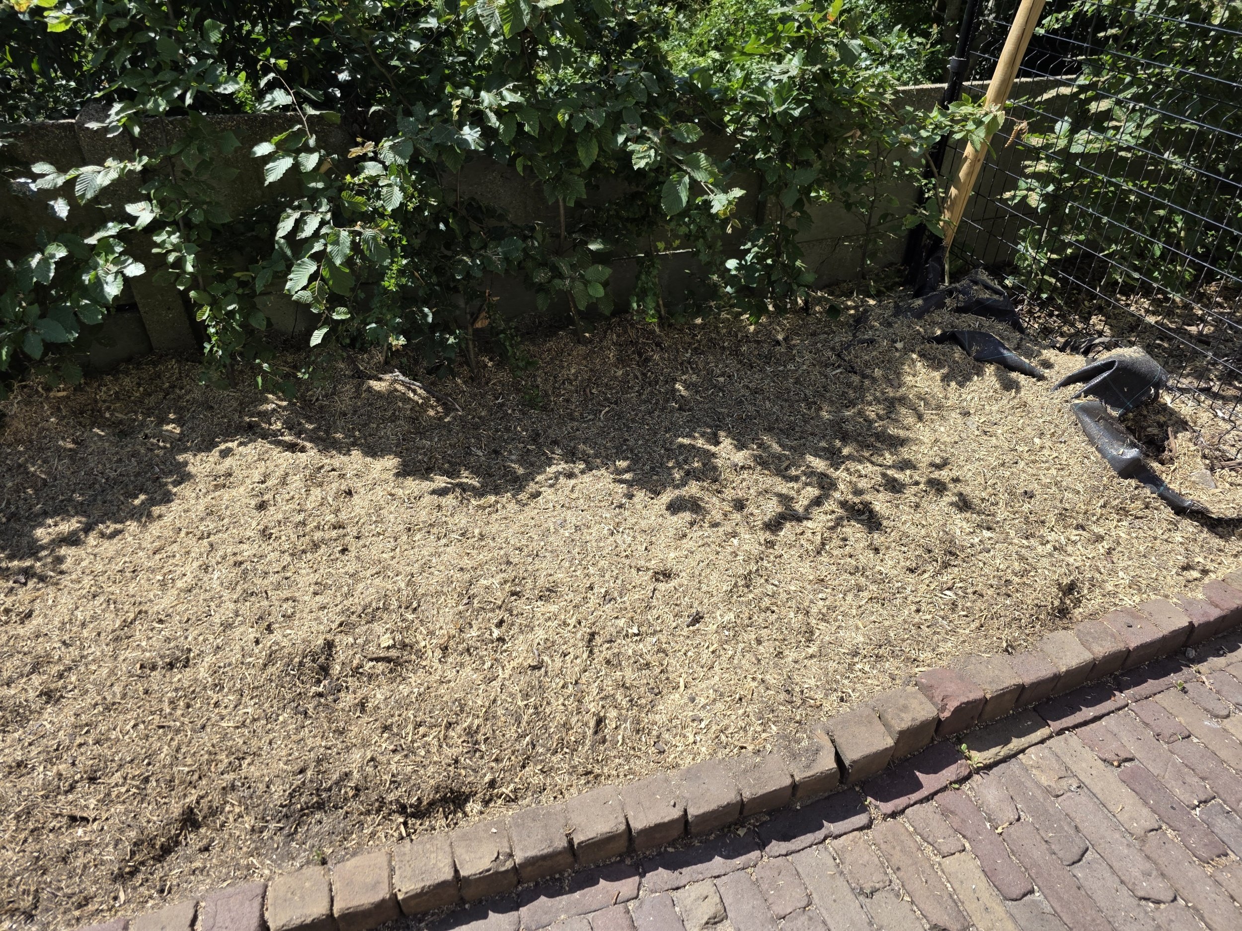 eindresultaat van een freesing van een stronk in voortuin begrensd met klinkers en haag. pulp is mooi geharkt