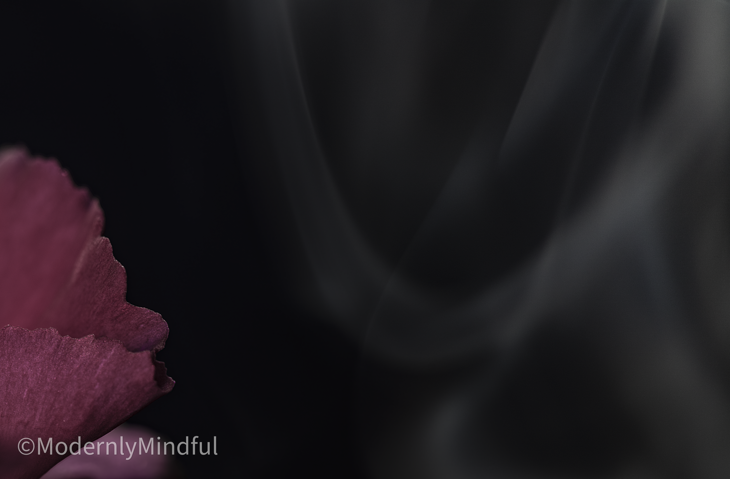 Rite of Flowers-03.png