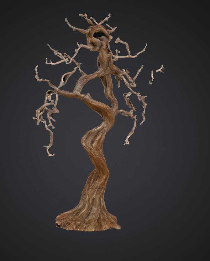 Rooted.png