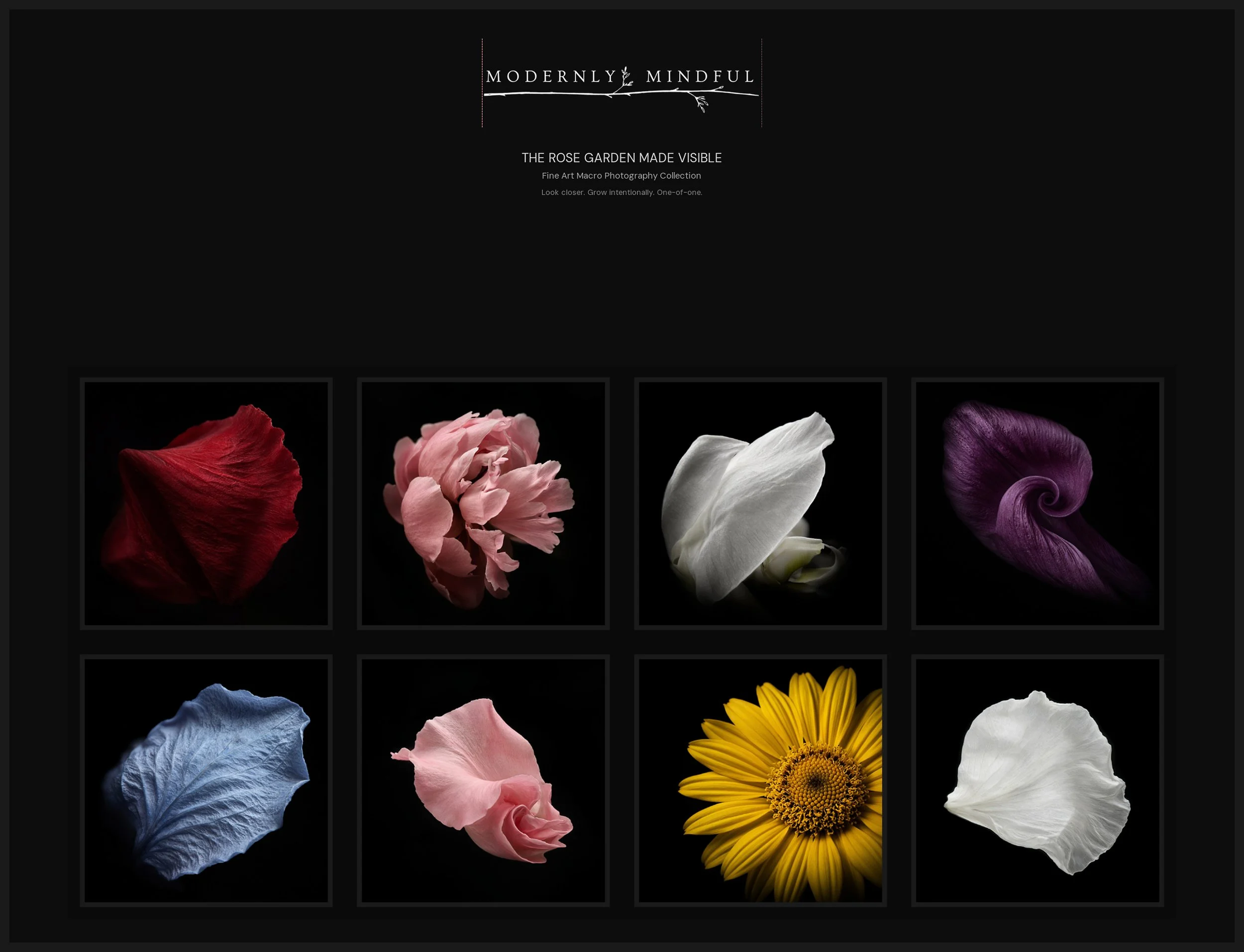 Flowers Of Emotion