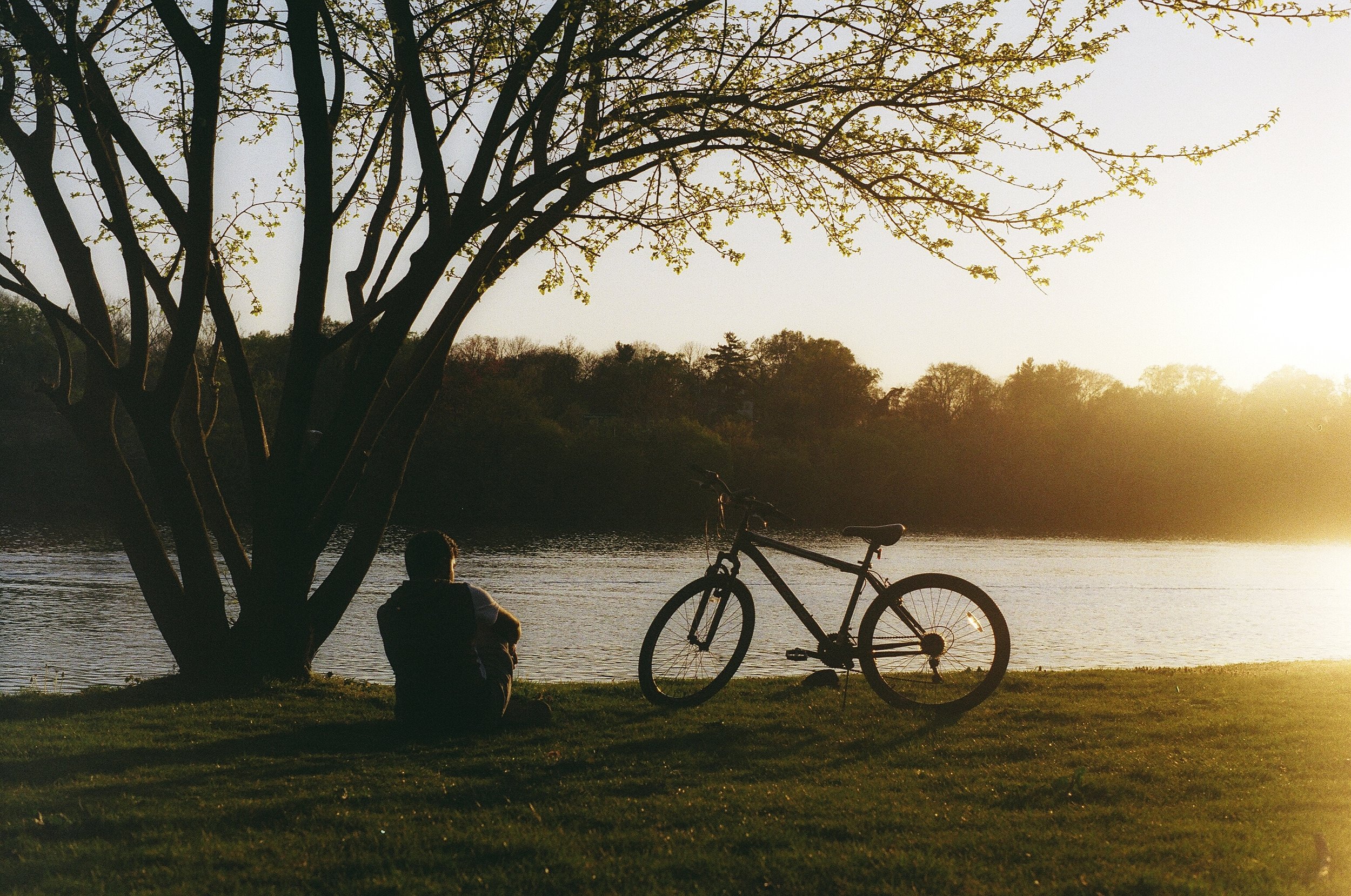 Golden Hour