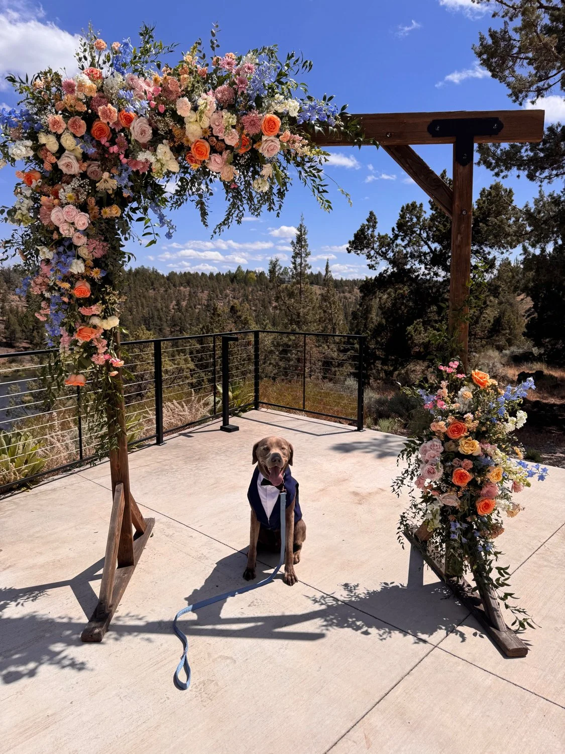 bark-and-bridal-co-6.jpg