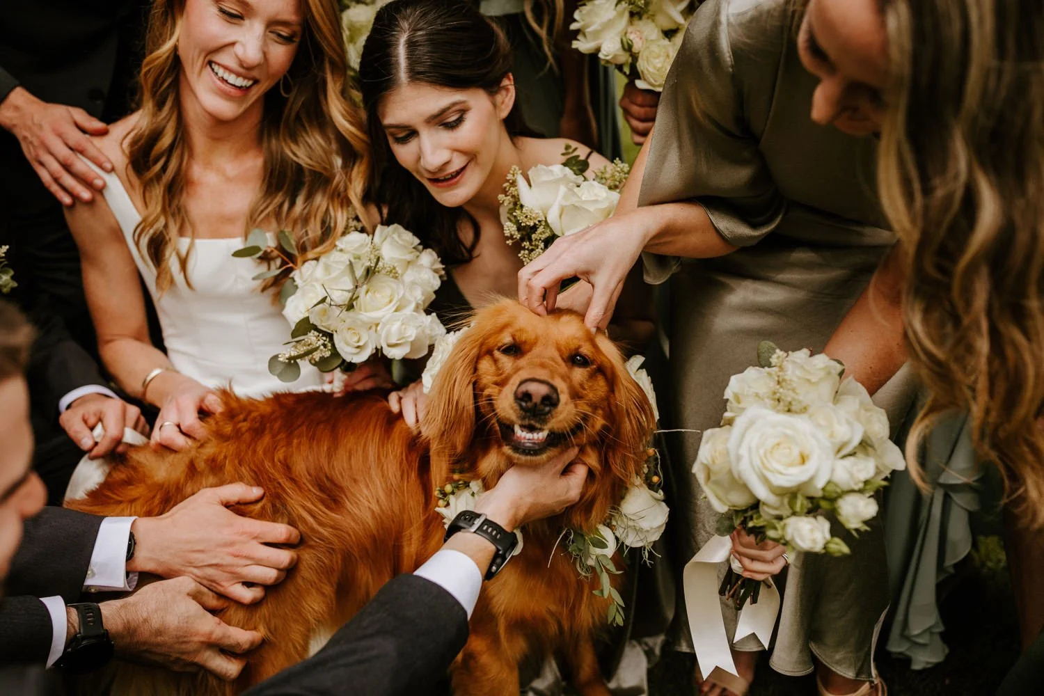 bark-and-bridal-co-4.jpg