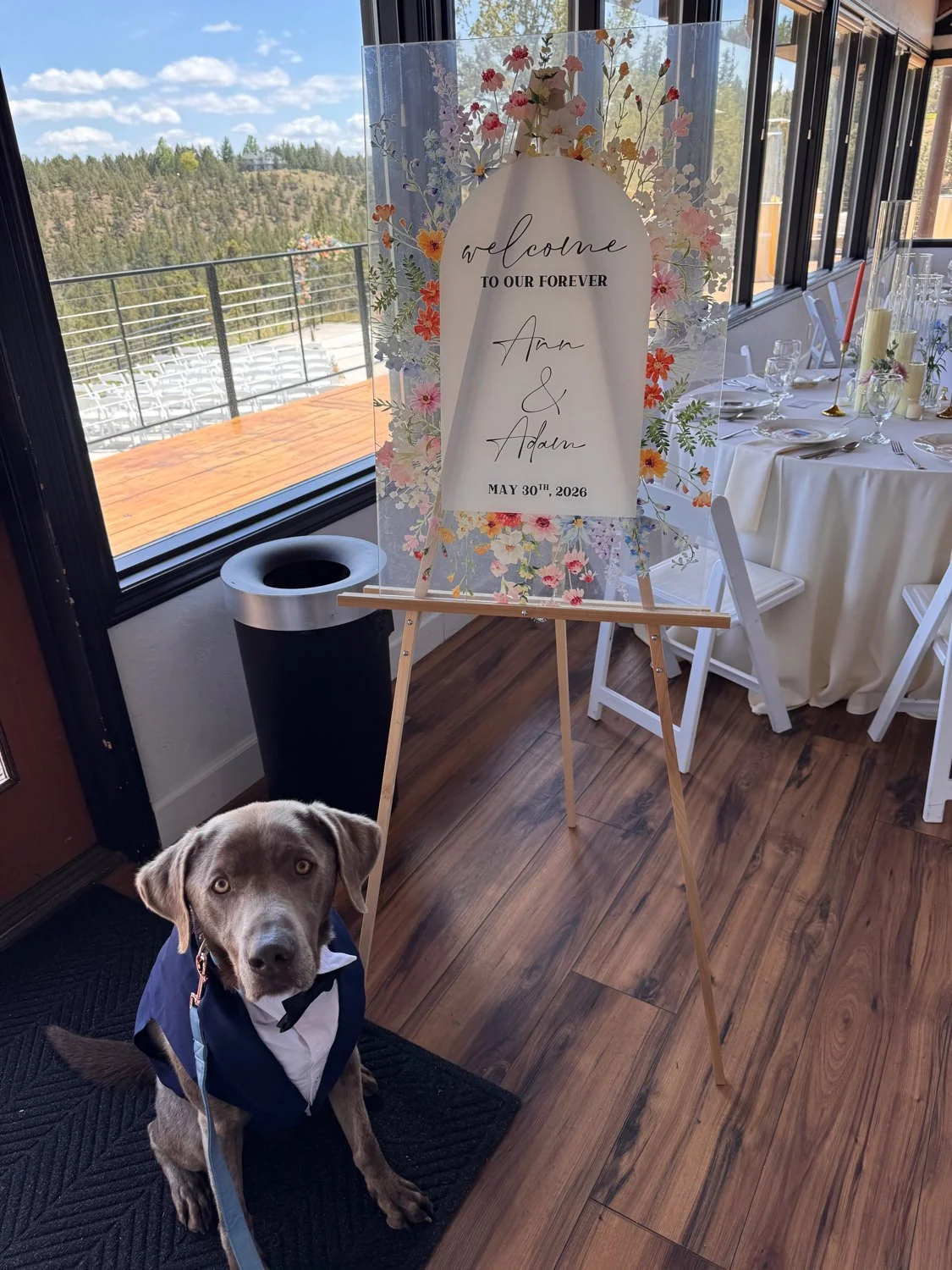 bark-and-bridal-co-5.jpg