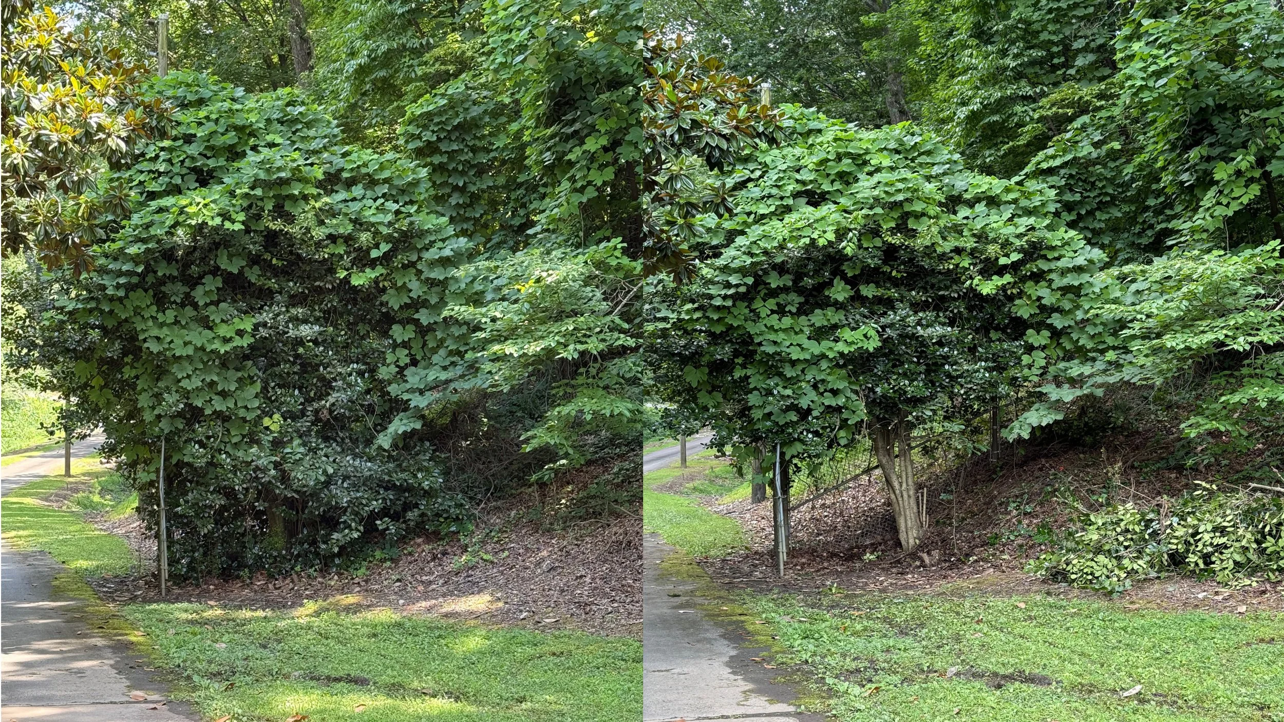Sandy Springs Eco-Stewards Volunteer Event