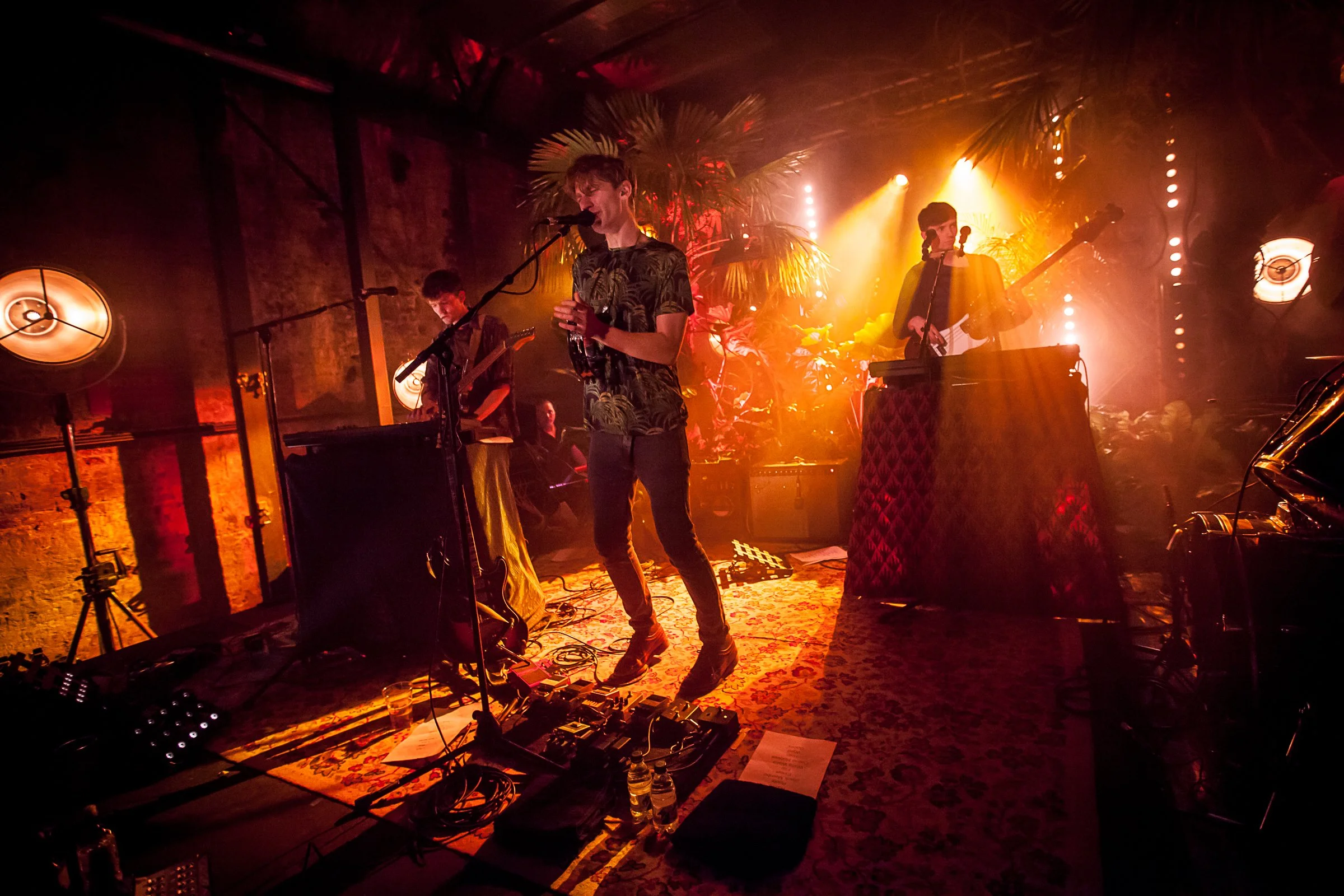 Glass Animals