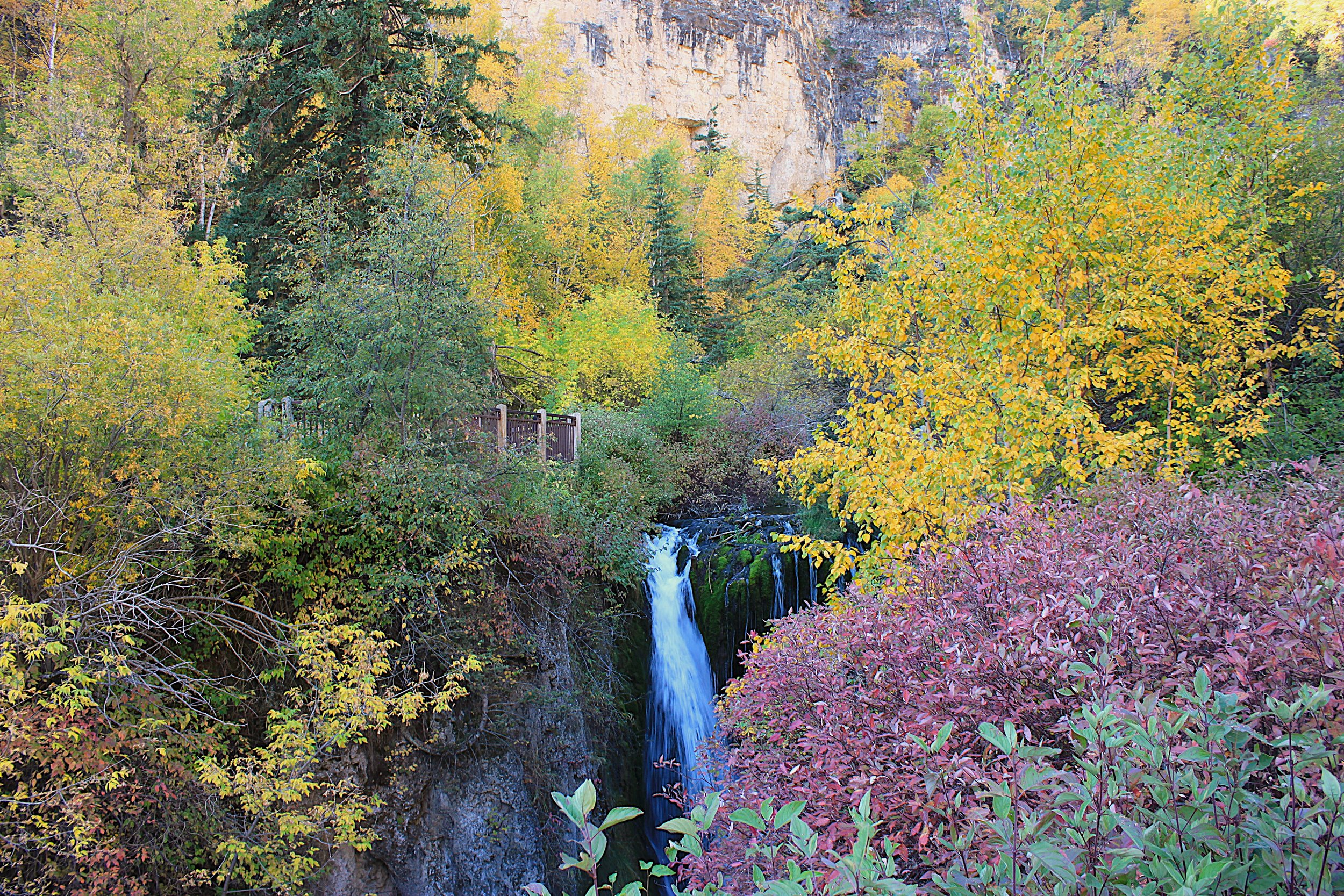 Roughlock Falls