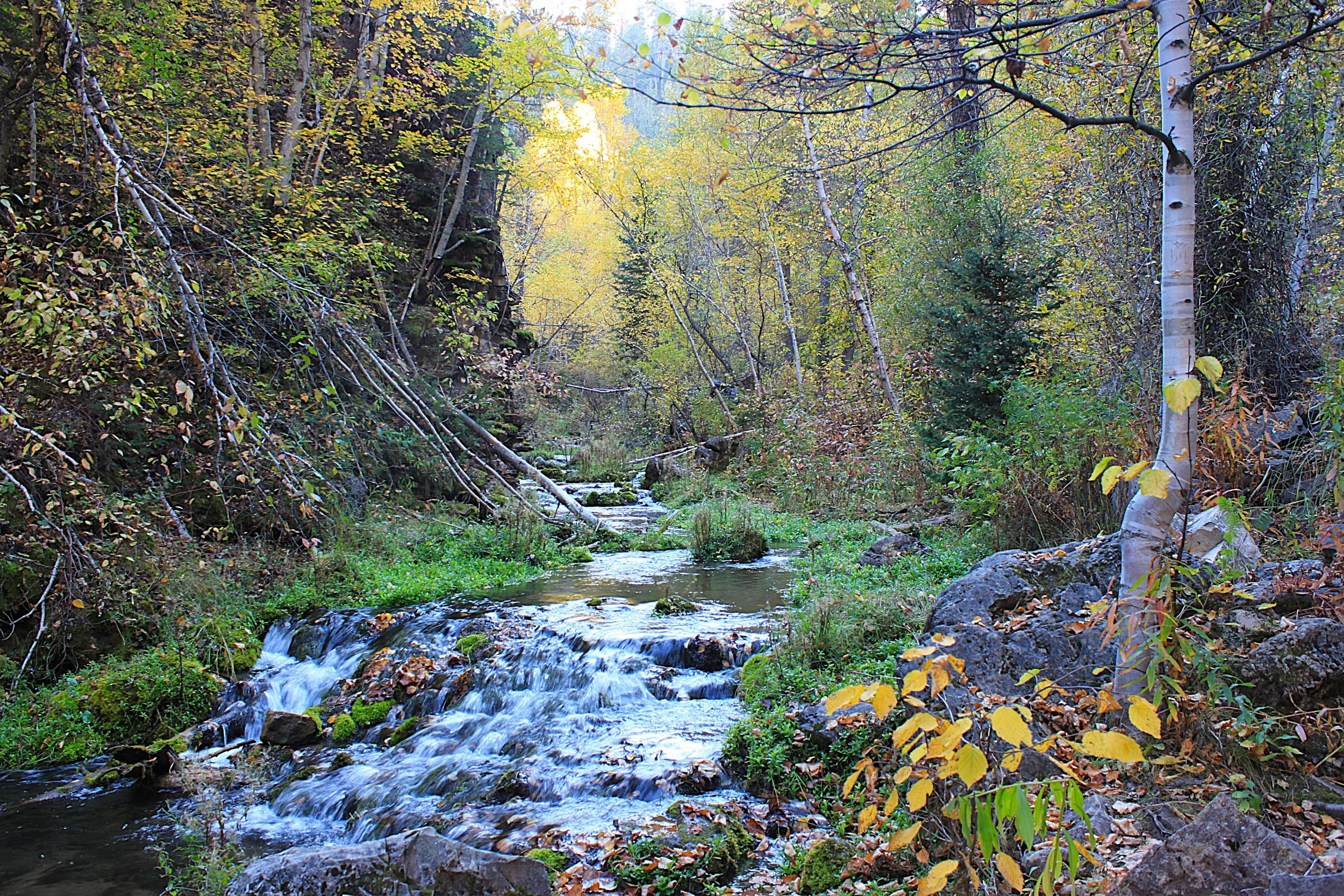 Iron Creek Trail