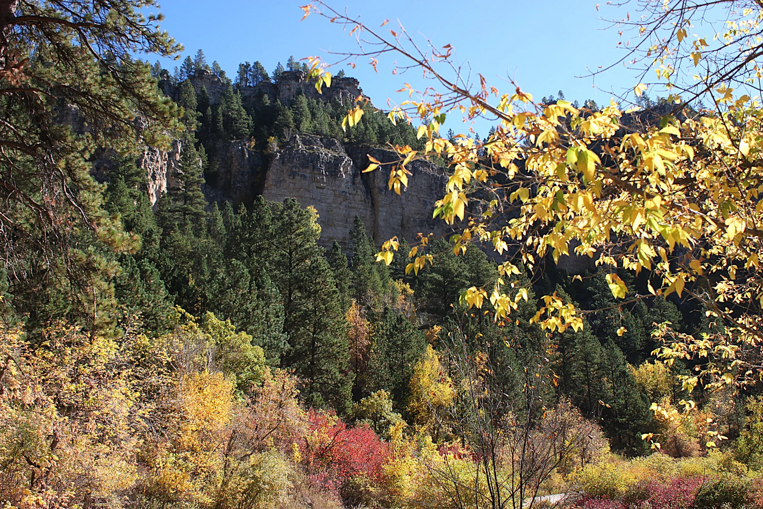 East of Roughlock Falls