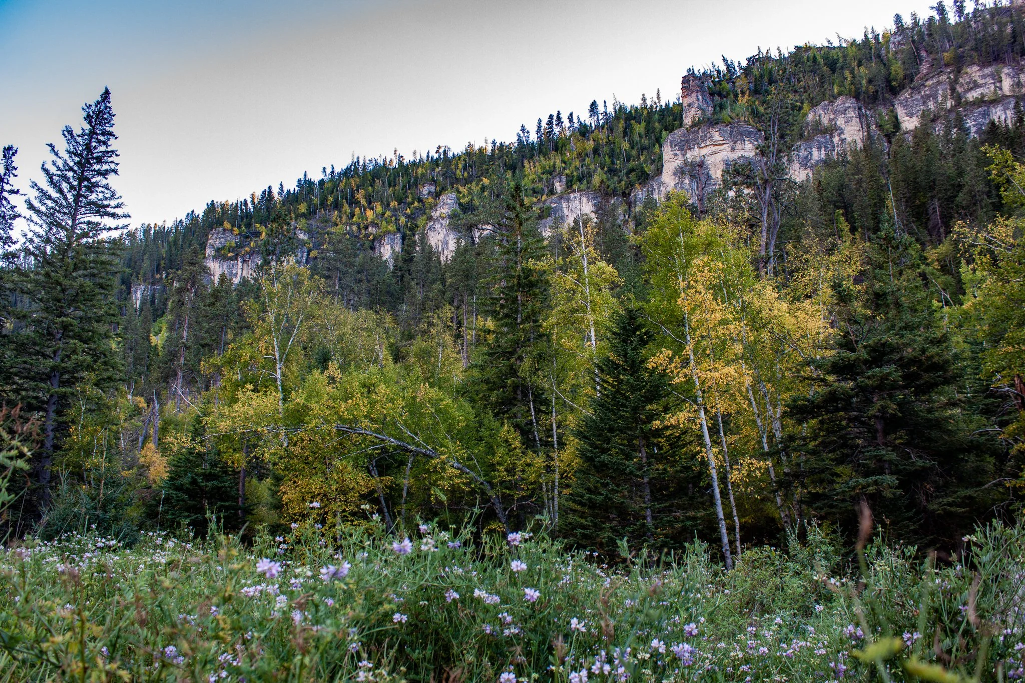 Southwest of Savoy