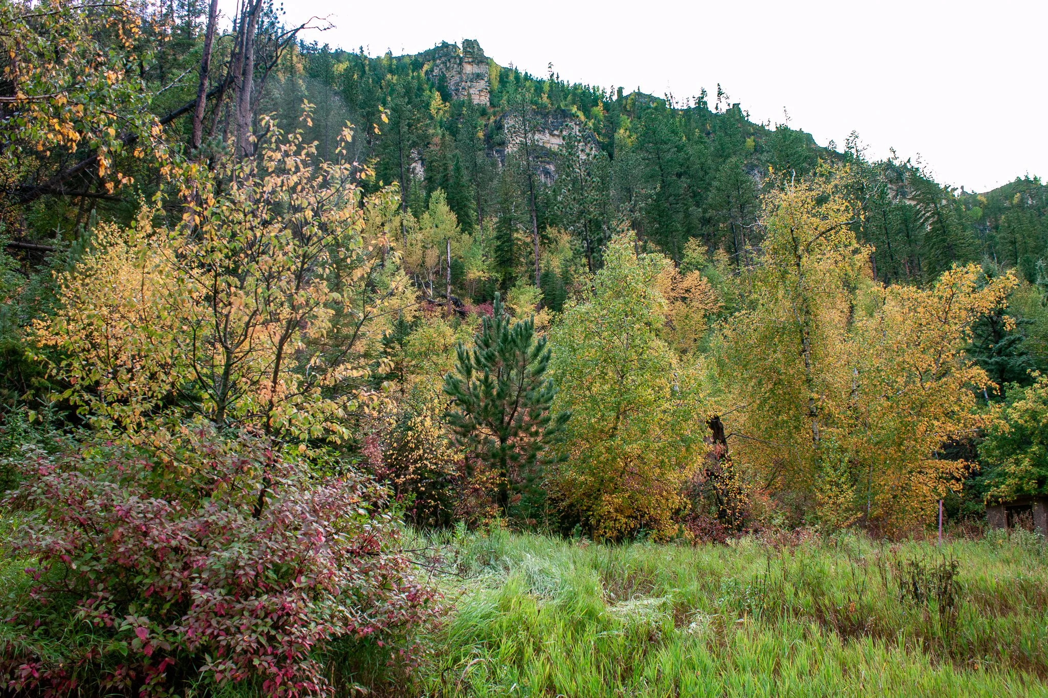 Southeast of Savoy