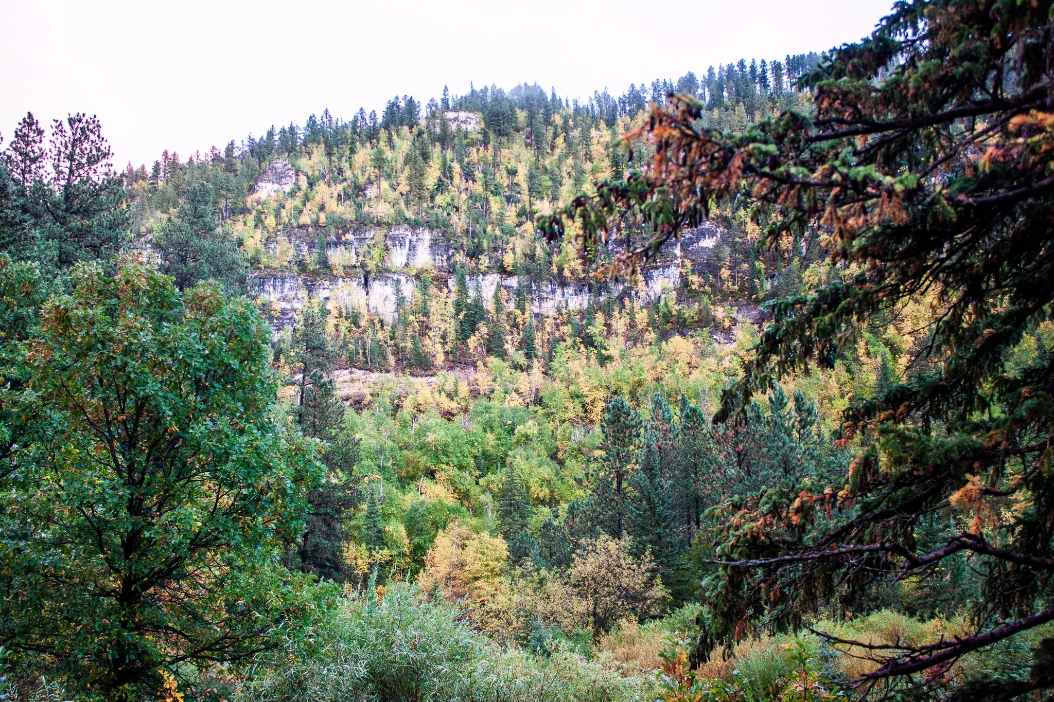 Eastern Canyon wall, about 7.5 miles into Spearfish Canyon