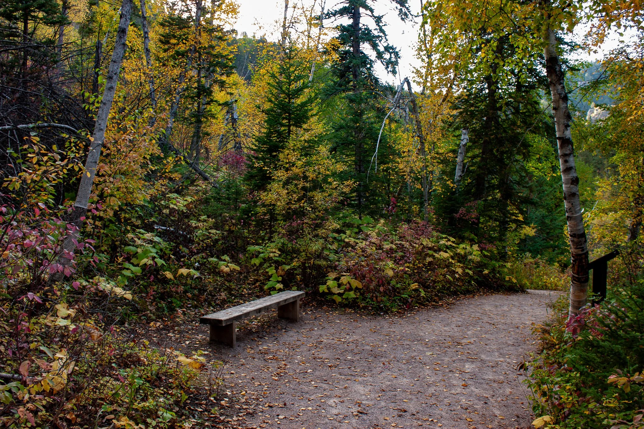 Roughlock Falls Trail