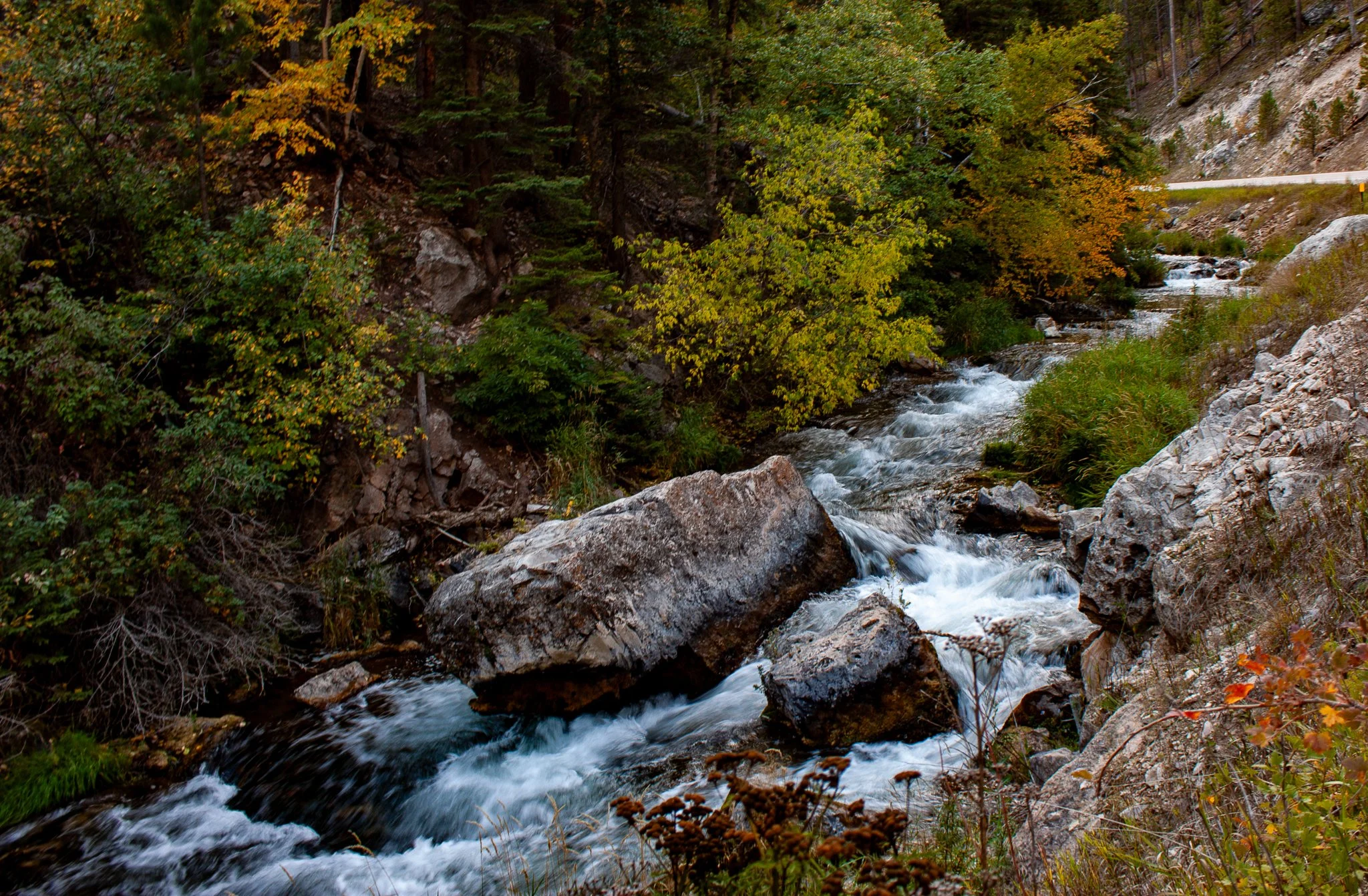Spearfish Creek