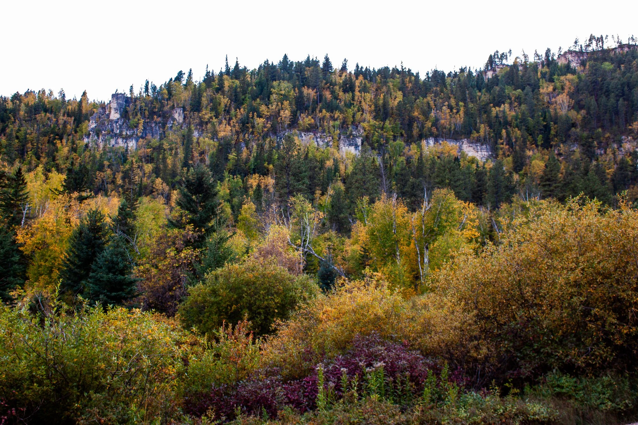 West of Spearfish Canyon Lodge