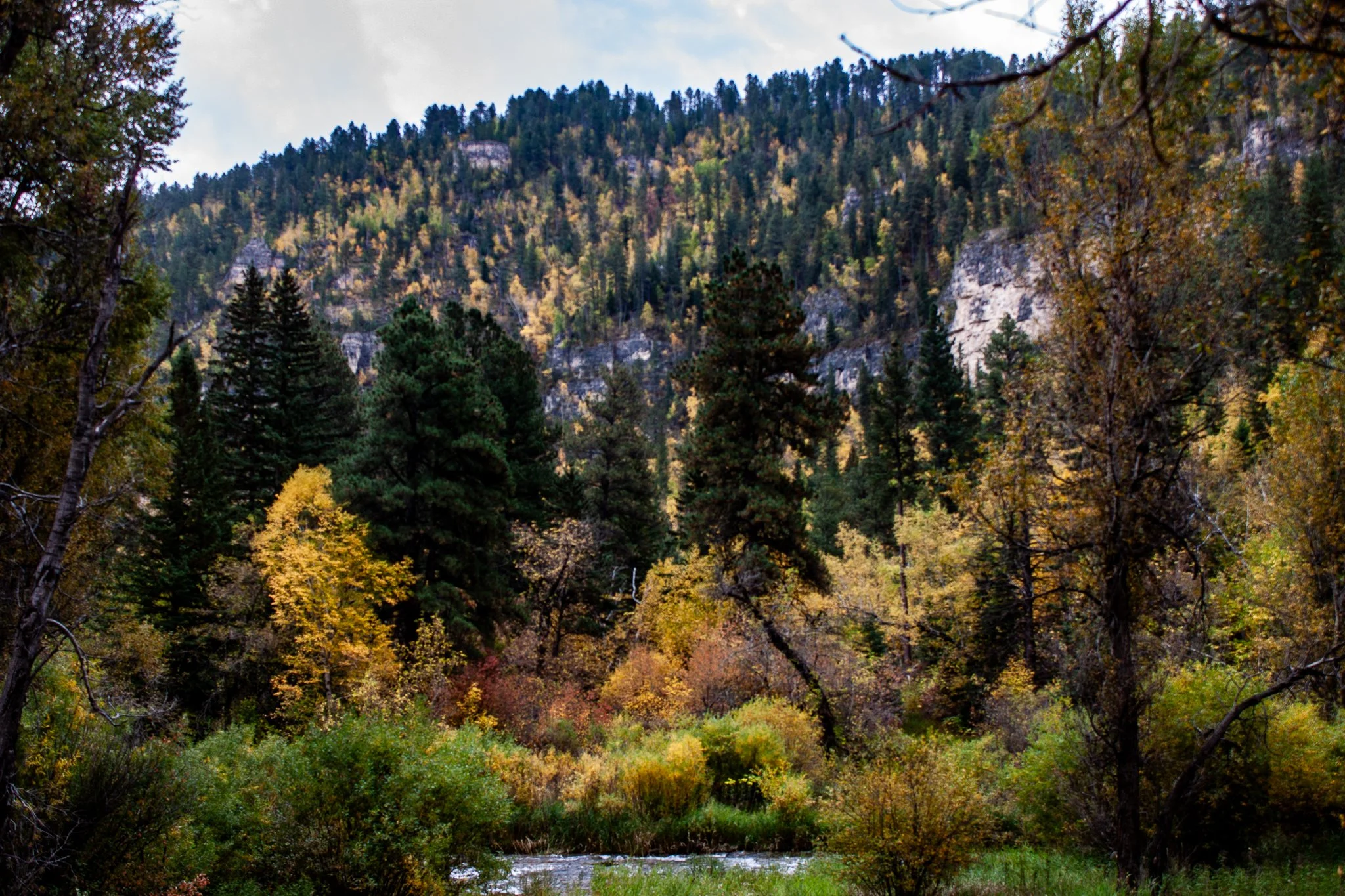 East of Iron Creek Trail