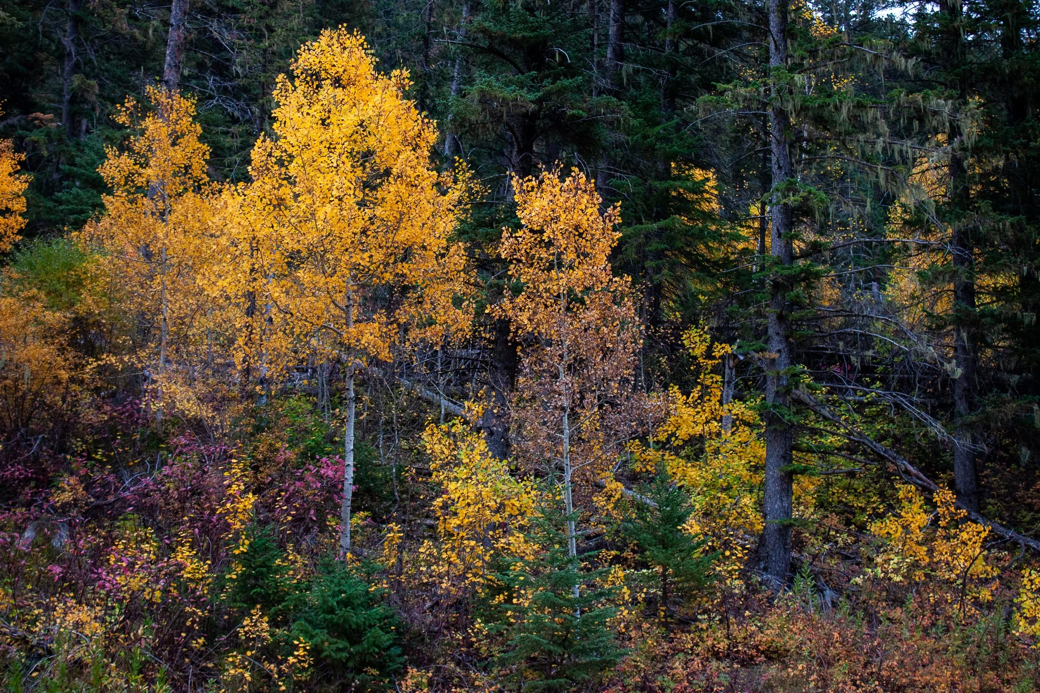 Eastern Canyon Road