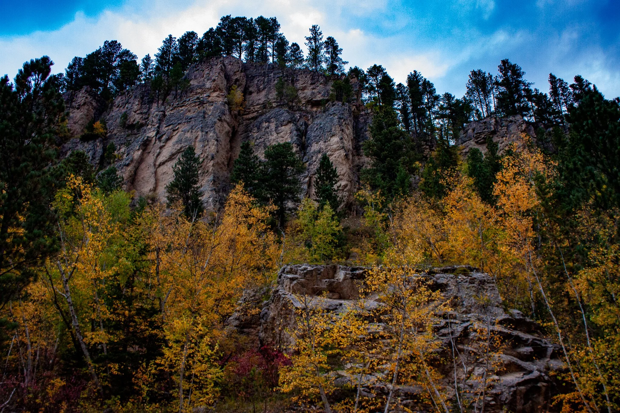 Limestone and Trees