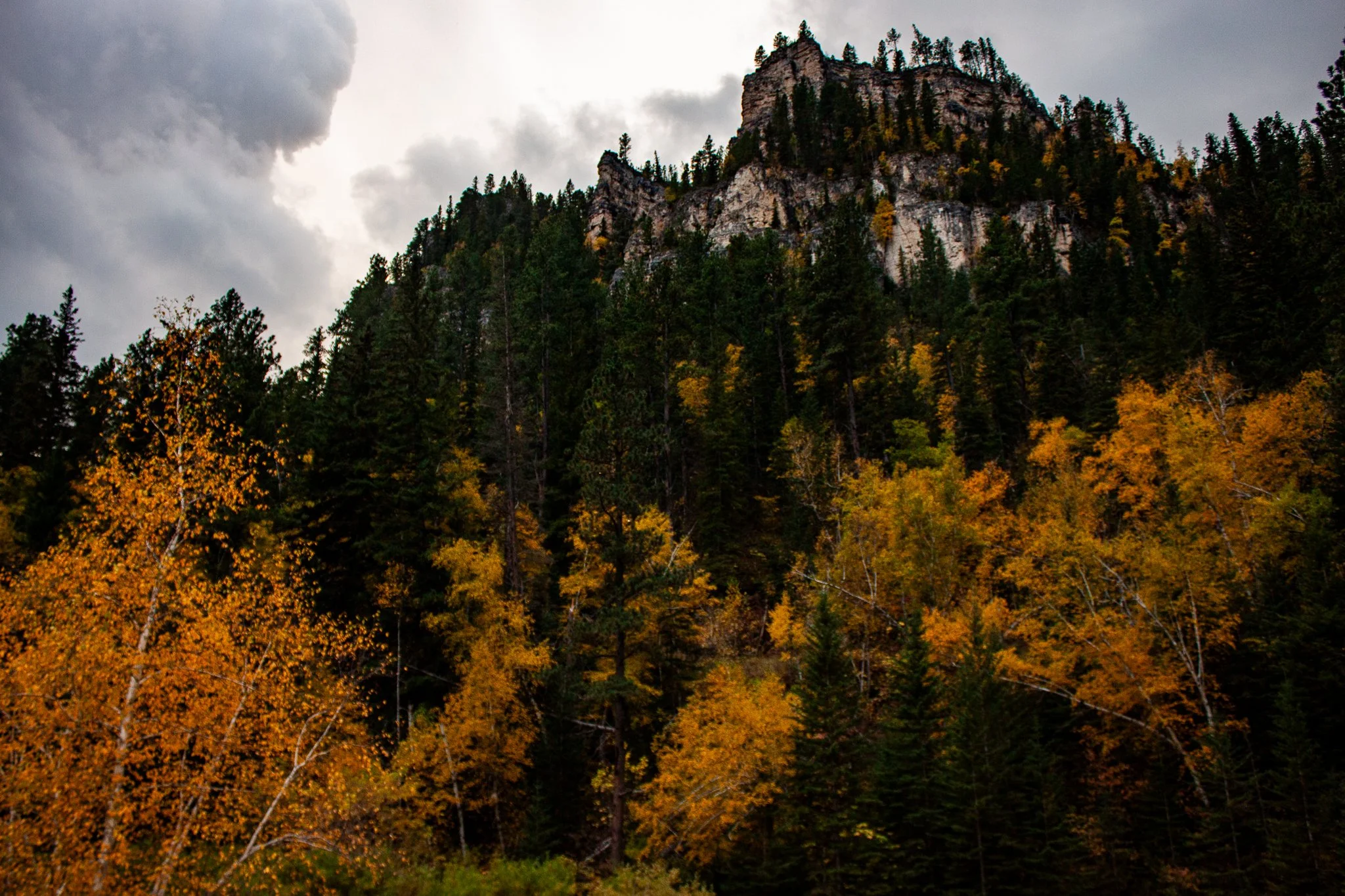 Southeast of Spearfish Canyon Lodge