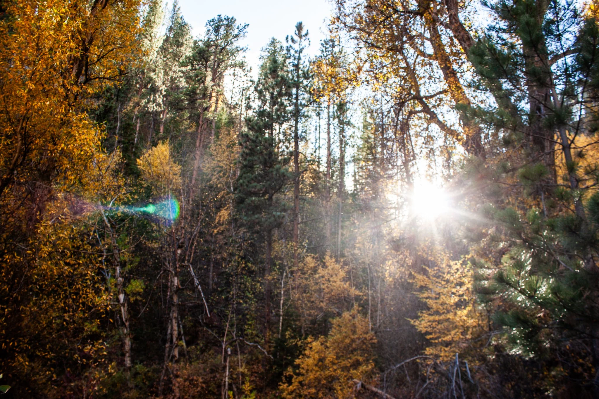 Iron Creek Trail