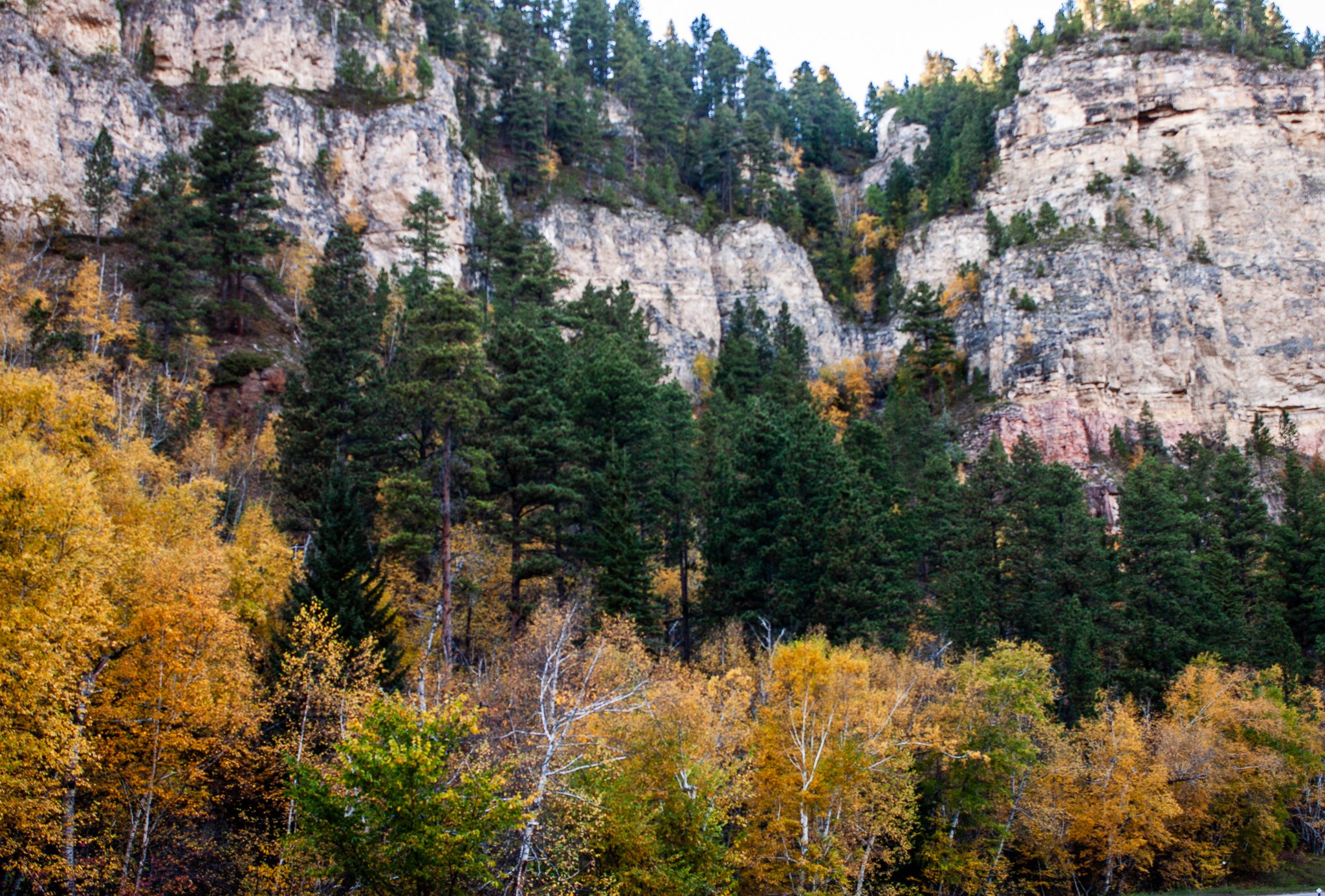 Long Valley Picnic Area