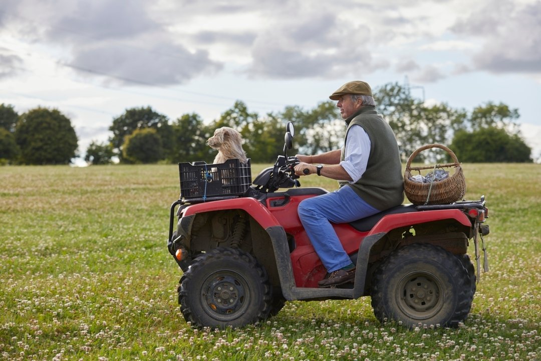 Rover riding up front with the wind in his hair.

#nationalpetday #rover #mansbestfriend #dogsofinstagram #faithfulfriend #farmdog #farmlife #oxleazefarm #cotswoldfarm #organicfarm #wildflowers #farmingtheland #biodiversity #cloverfield