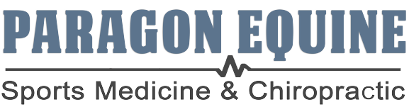 Paragon Equine