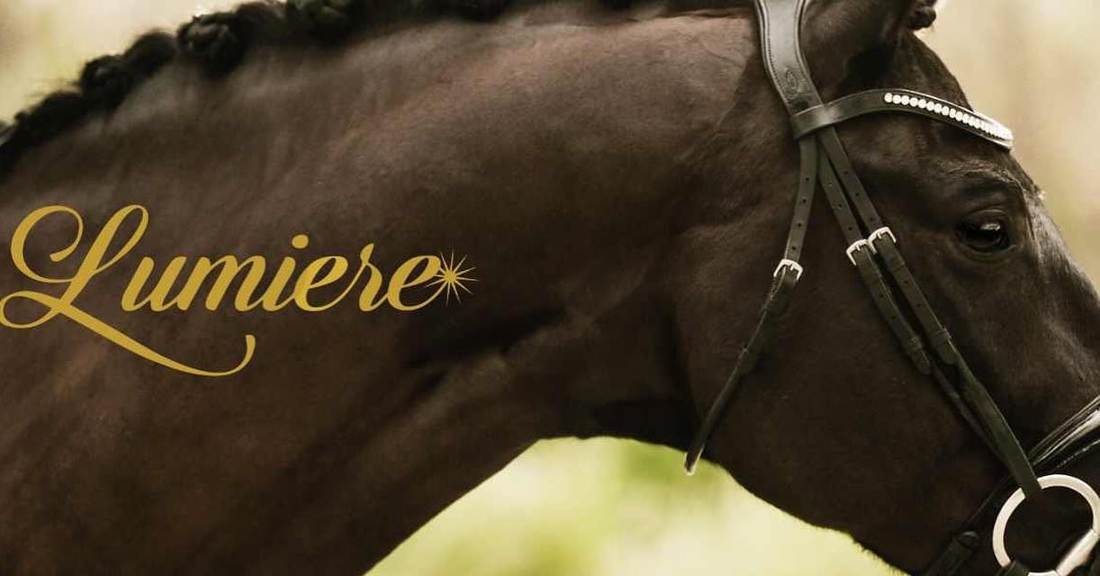 ✨SPONSOR SPOTLIGHT✨ Tack you'll love

Skyline Eventing Park has teamed up with @lumiere_equestrian &amp; are offering competitors 10% off with code 'SKYLINE'. Lumiere is also the preliminary division sponsor! 

Famous for anatomic brides, halters &am