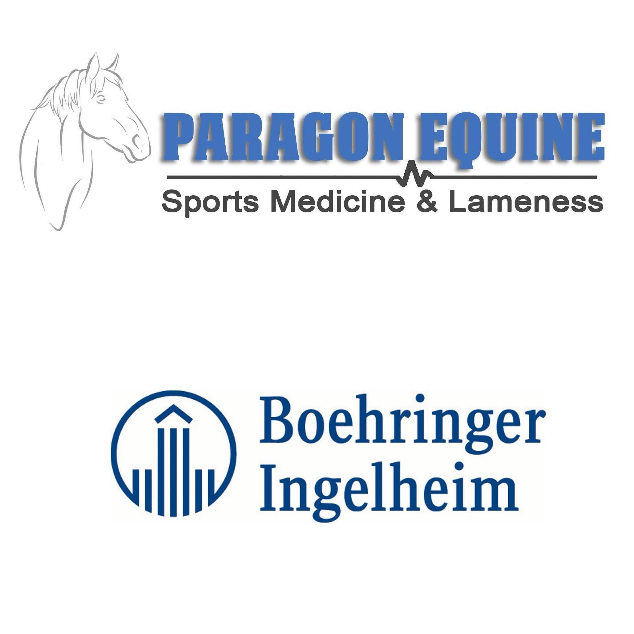 ✨ SPONSOR SPOTLIGHT ✨ Huge thank you to @paragonequine for their sponsorship of the Beginner Novice division! All division winners will receive a Paragon Equine Bag with OVER $400 worth of @boehringer_ingelheim products. Dr. Lundgreen has supported S