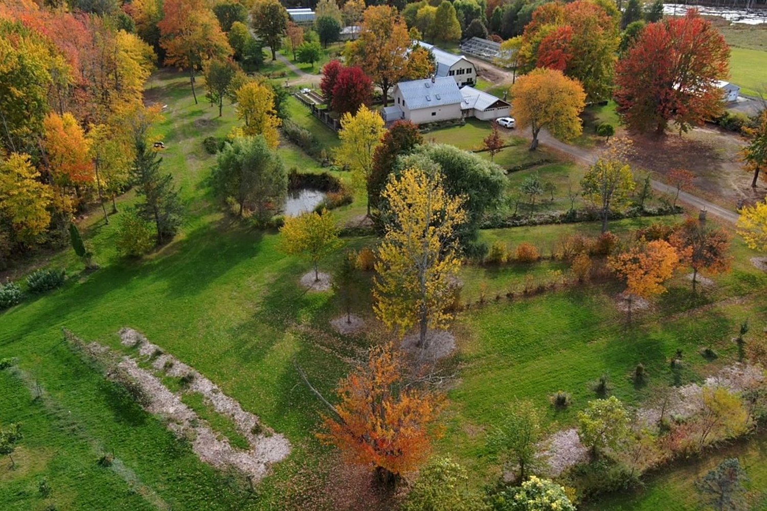 Permaculture Zones and Sectors: Putting Everything Where It Belongs