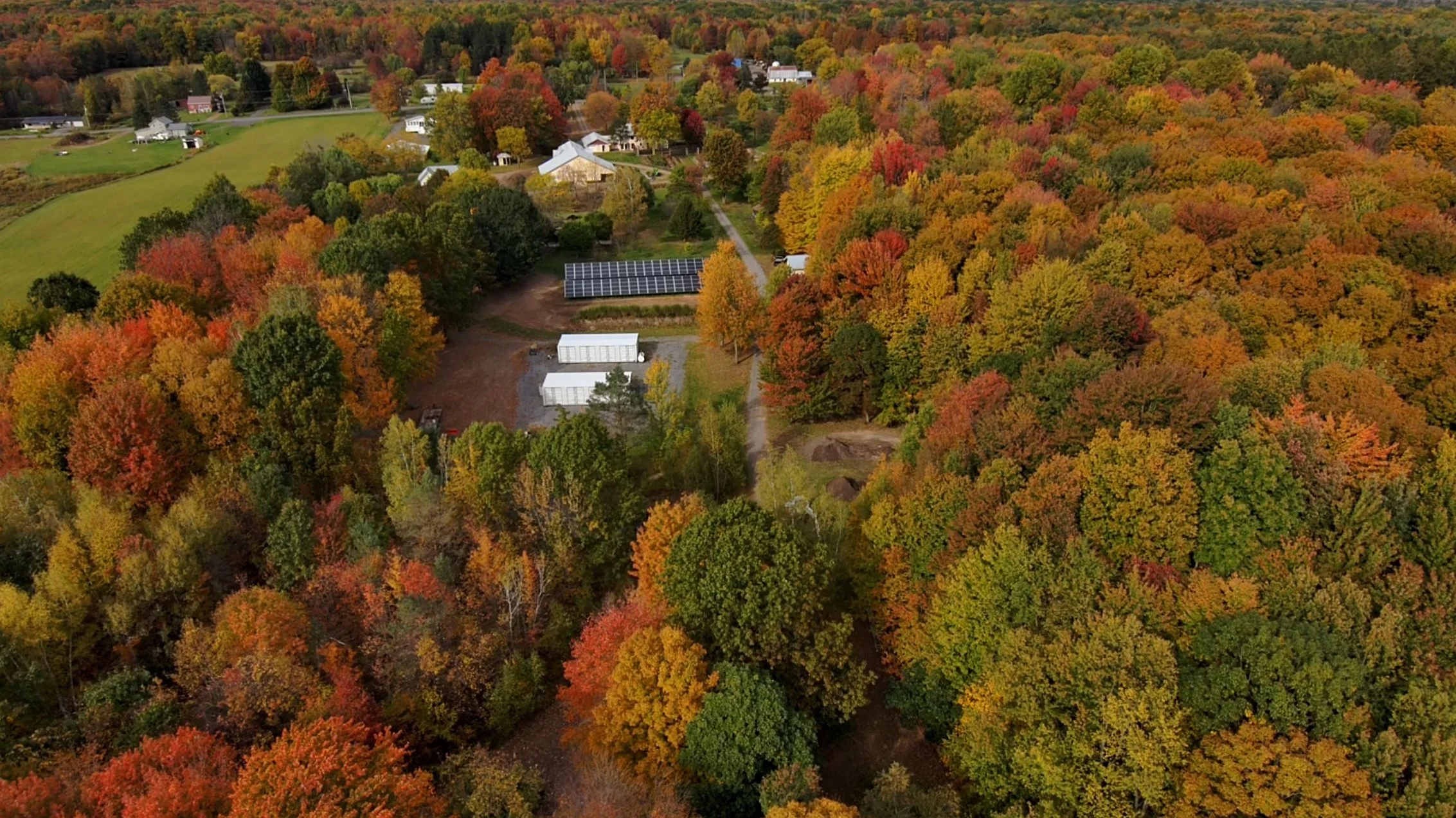Aerial view of Mindful Living Sanctuary surrounded by peak fall colour, with solar panels and buildings tucked into the trees