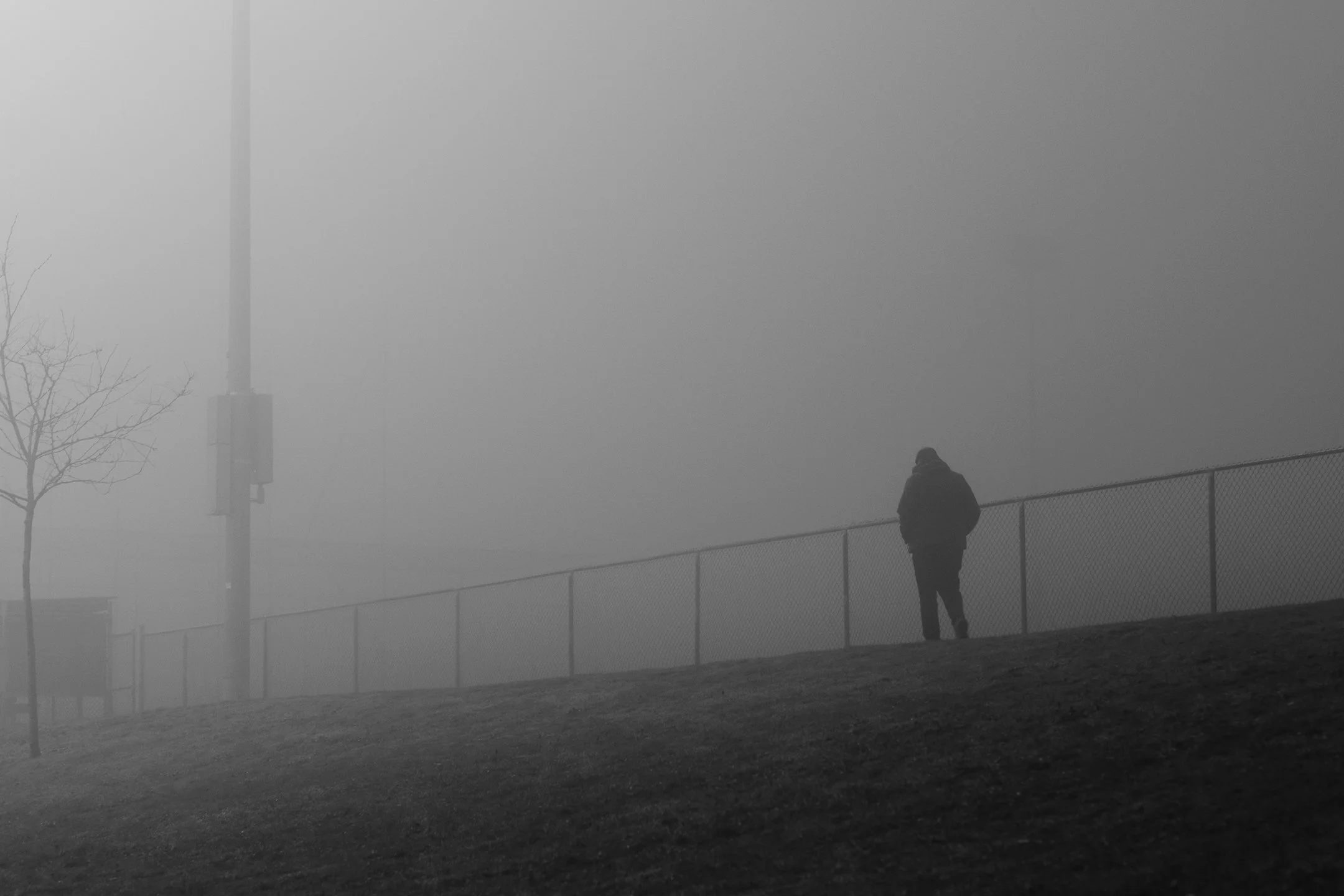 DSCF2918.jpg