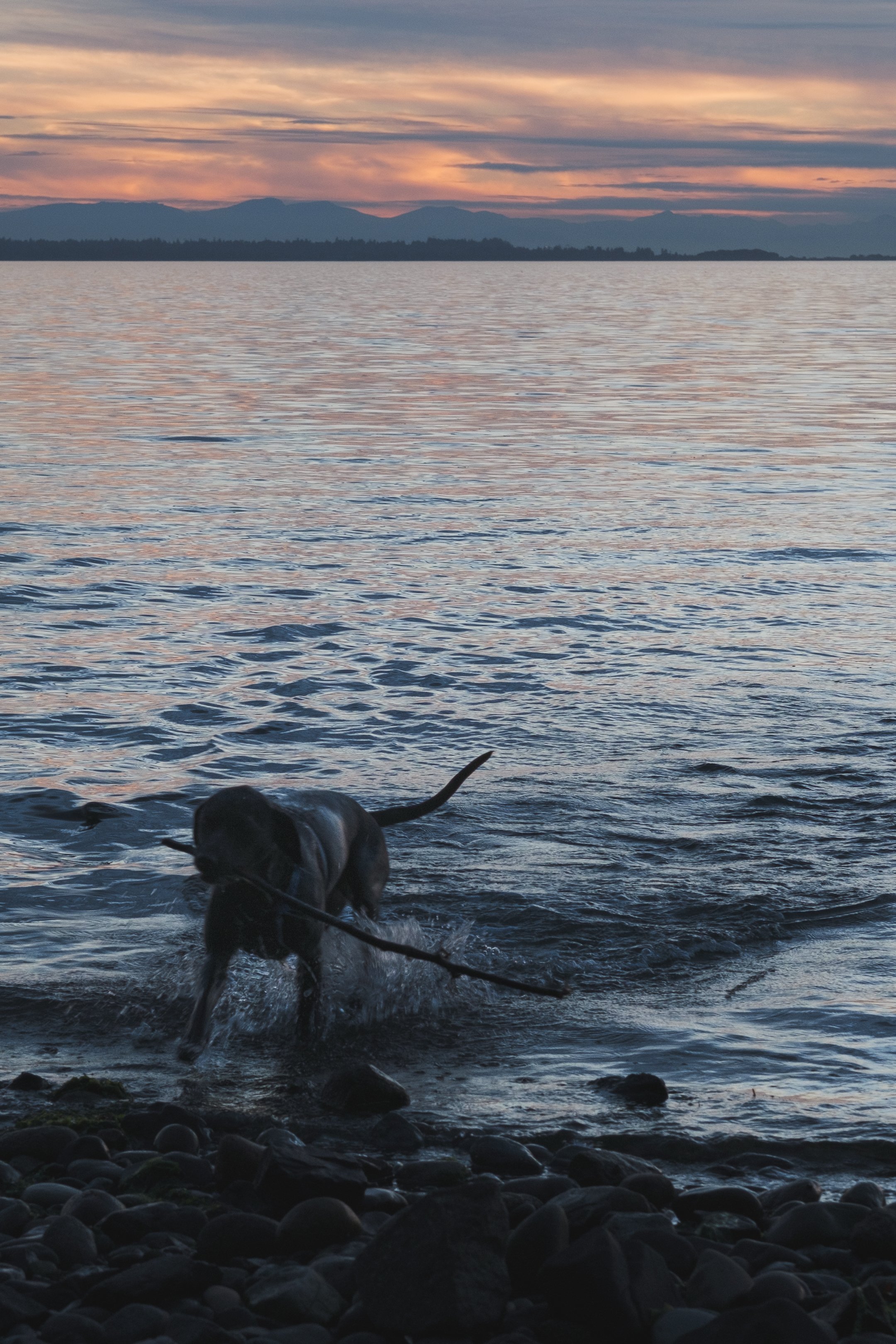 DSCF0312.jpg