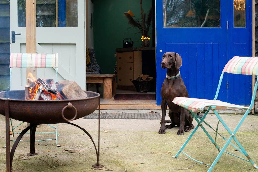 Dogs & fire pits