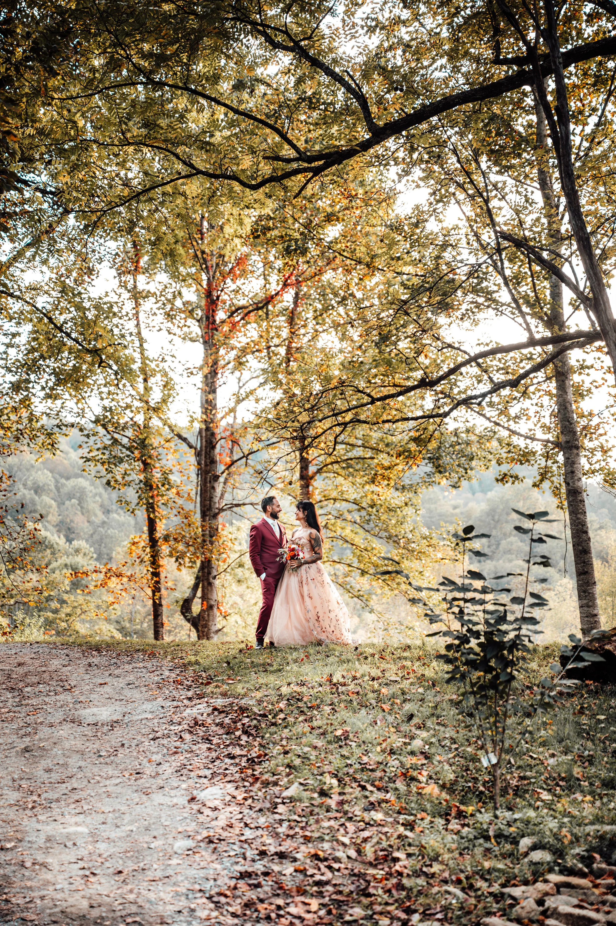 Asheville-wedding-photographer-216.jpg