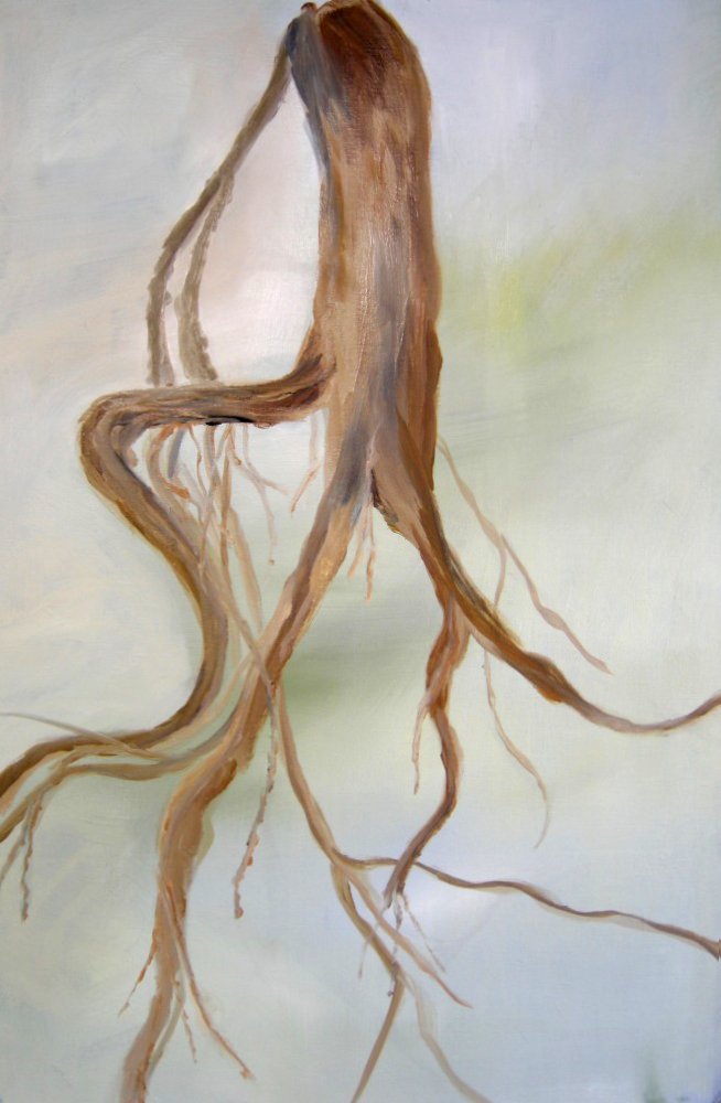 Uprooted