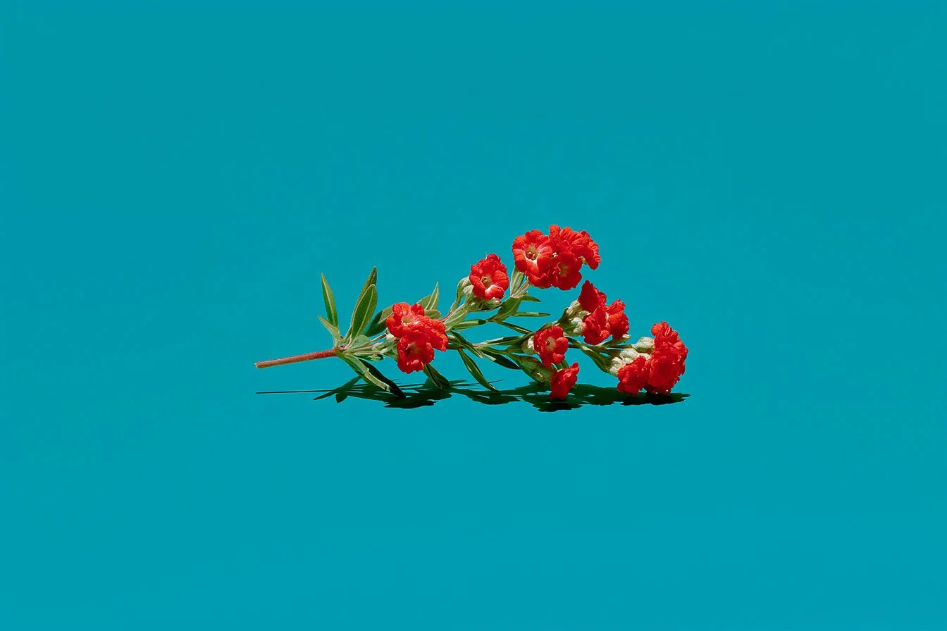 2025 was the year for AI Use Cases