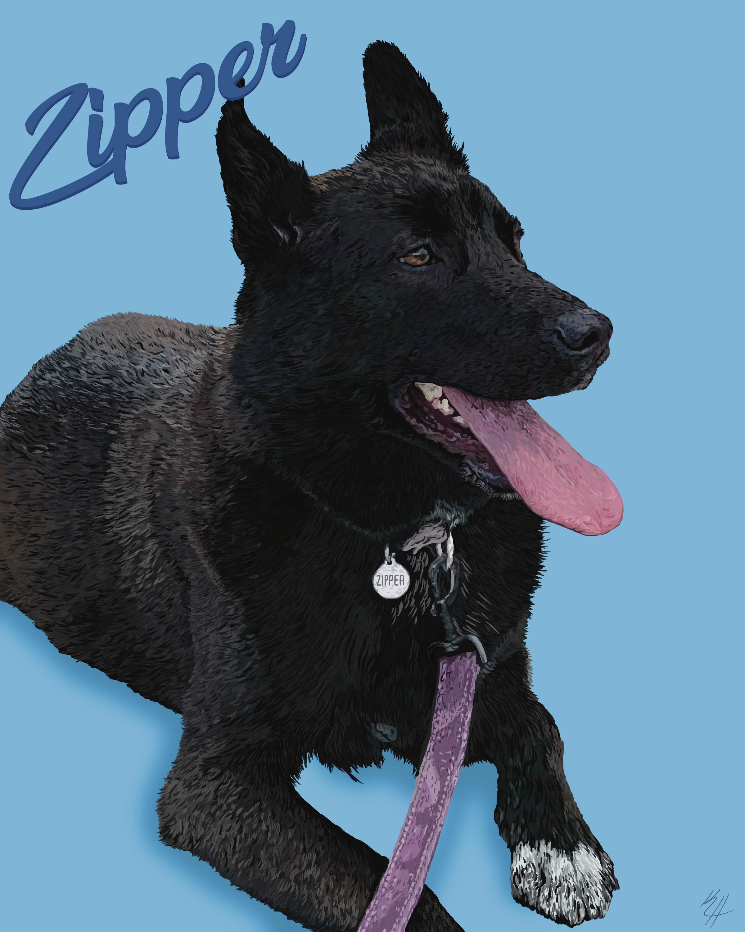 Zipper Pet Portrait Illustration