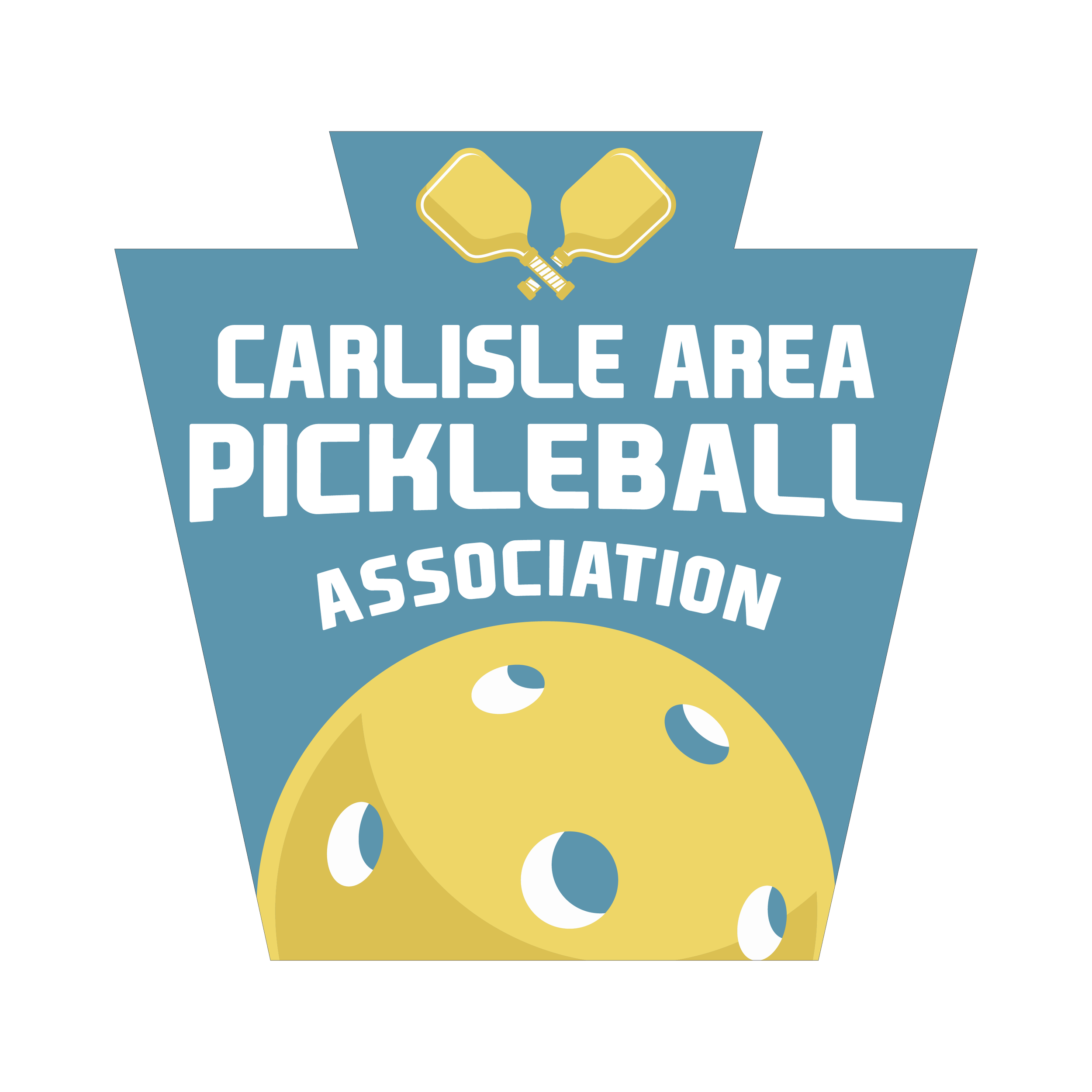 What To Know Carlisle Area Pickleball Association what-to-know-carlisle-area-pickleball-association